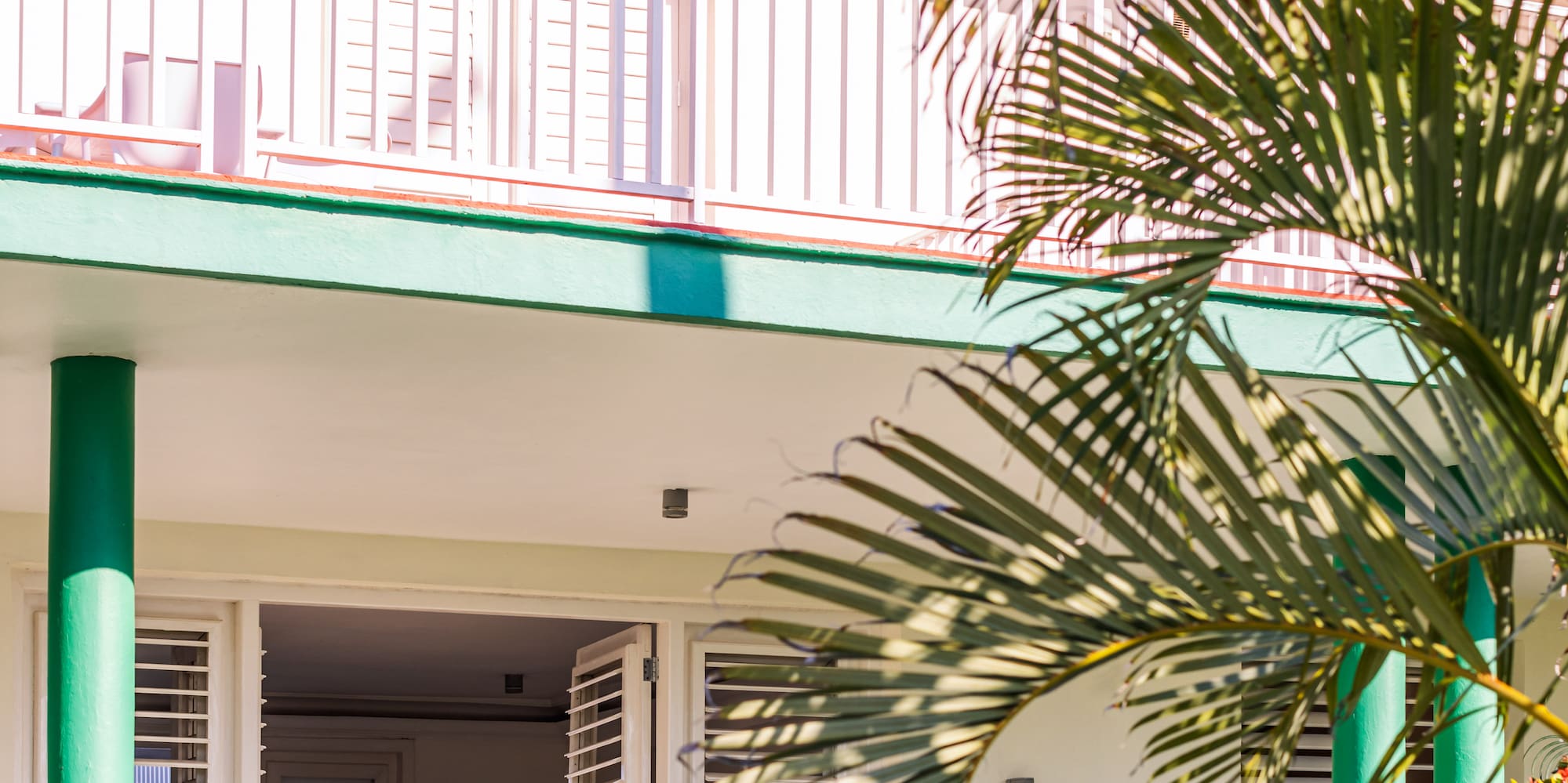 a house with palm trees
