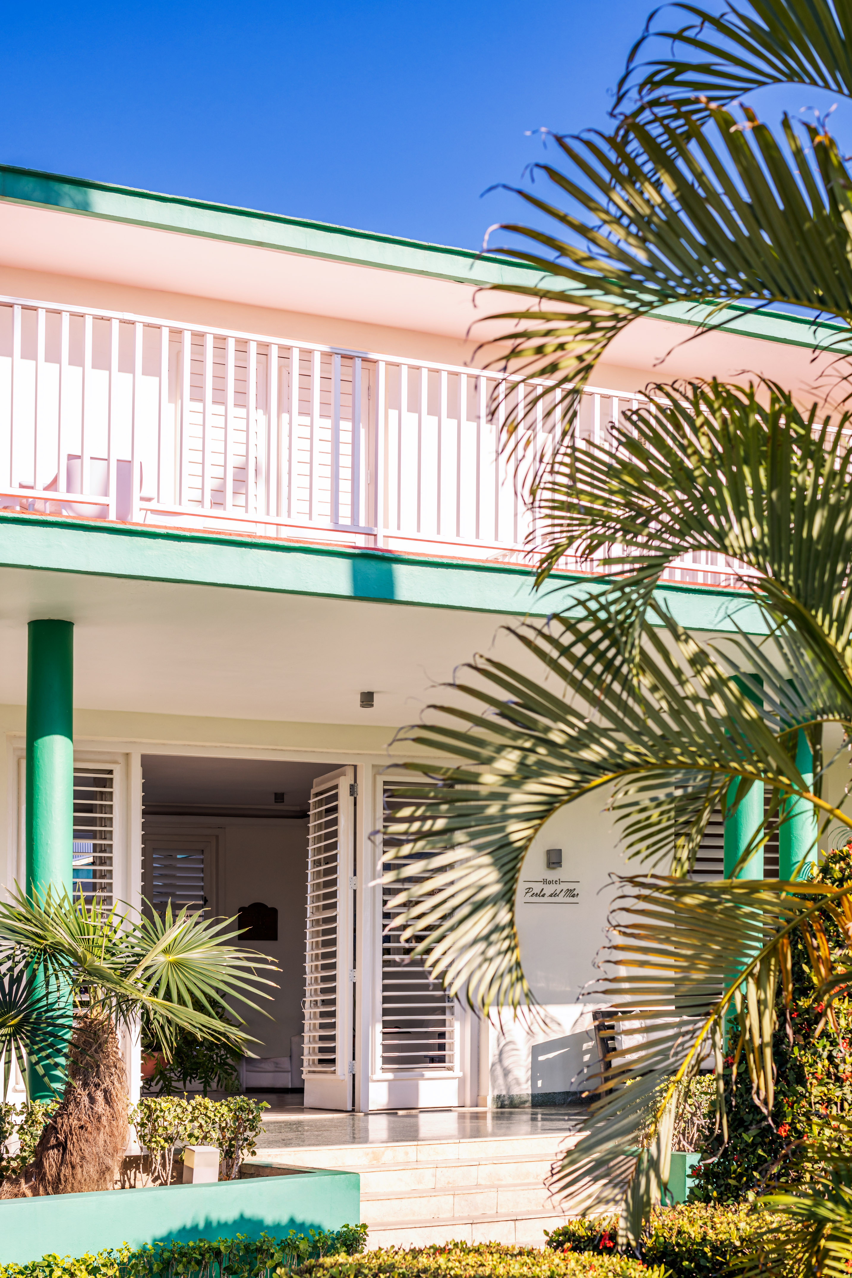 a house with palm trees