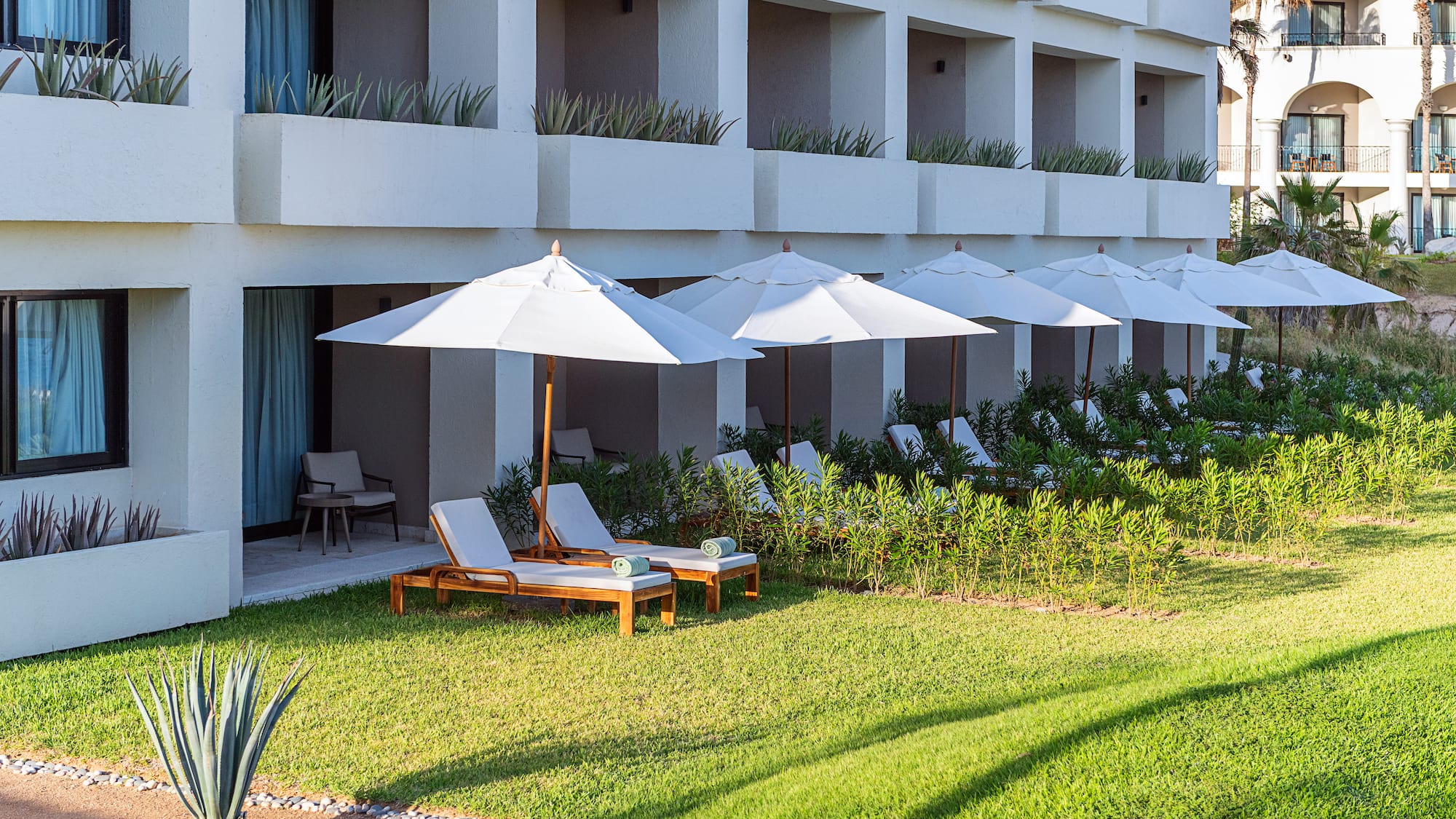 Sunny resort hotel patio, lounge chairs, white umbrellas, and green lawn.
