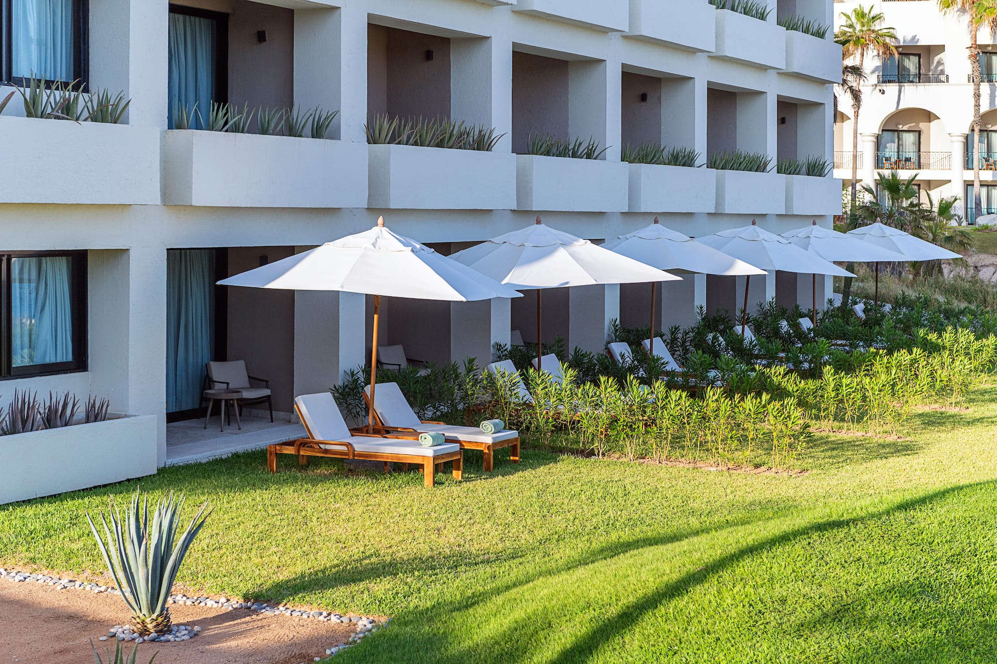 Sunny resort hotel patio, lounge chairs, white umbrellas, and green lawn.