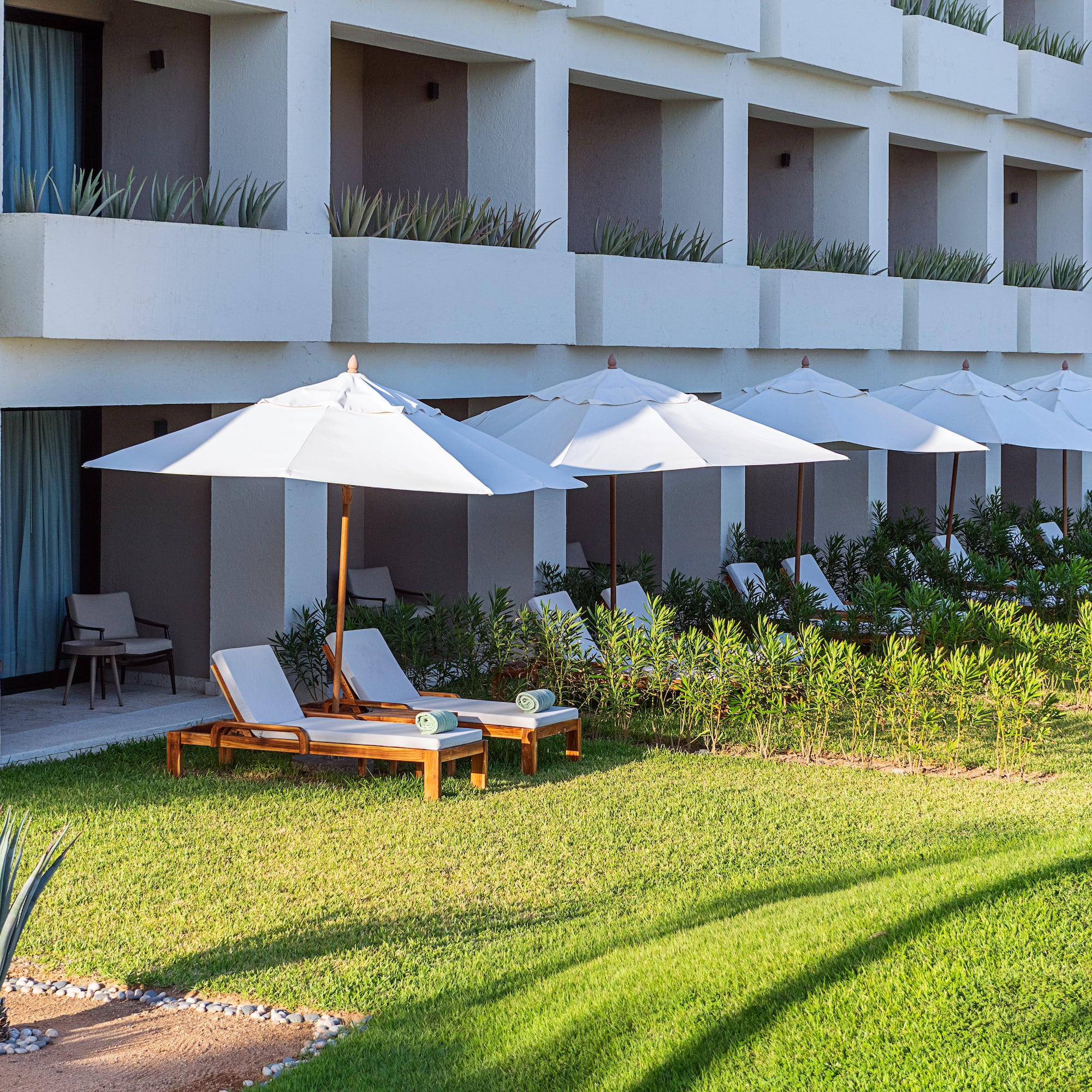 Sunny resort hotel patio, lounge chairs, white umbrellas, and green lawn.