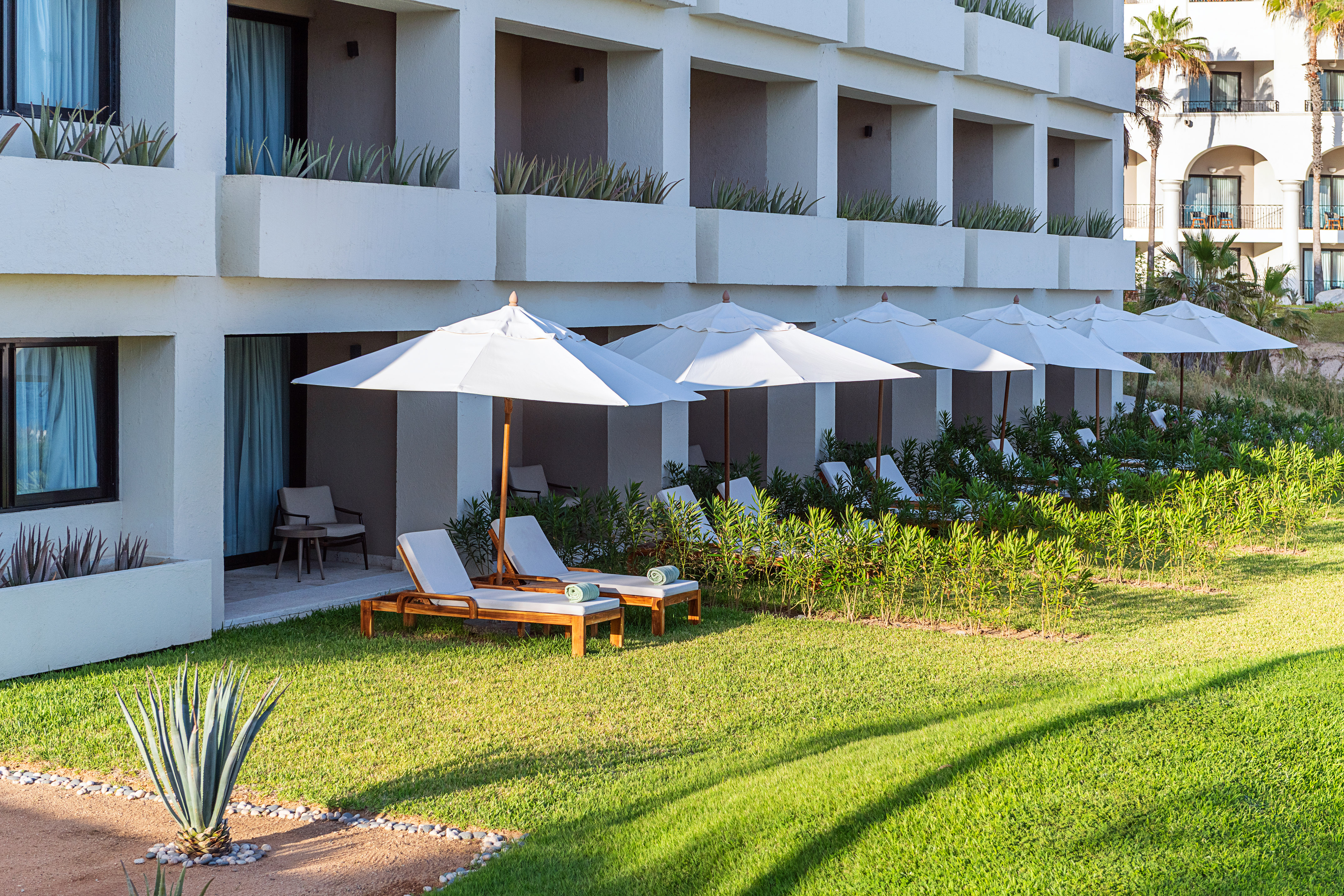 Sunny resort hotel patio, lounge chairs, white umbrellas, and green lawn.