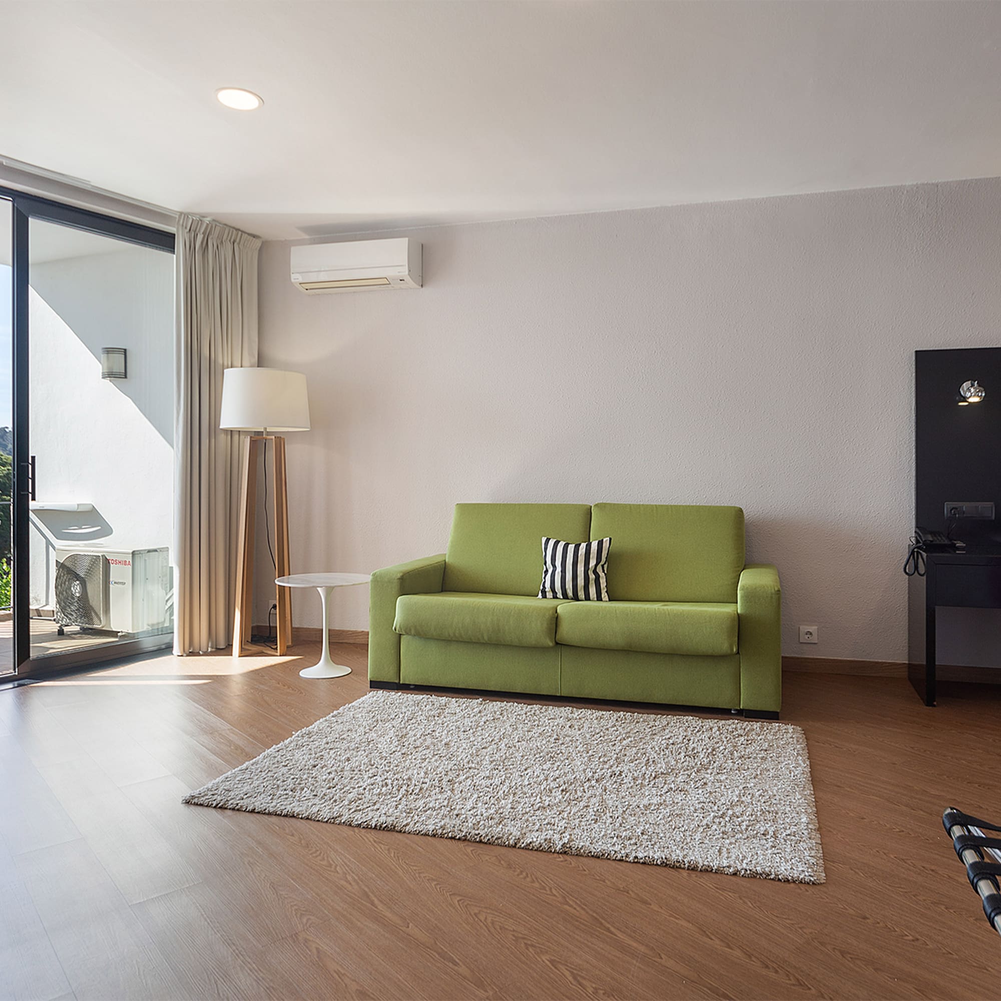 a living room with a green couch and a rug