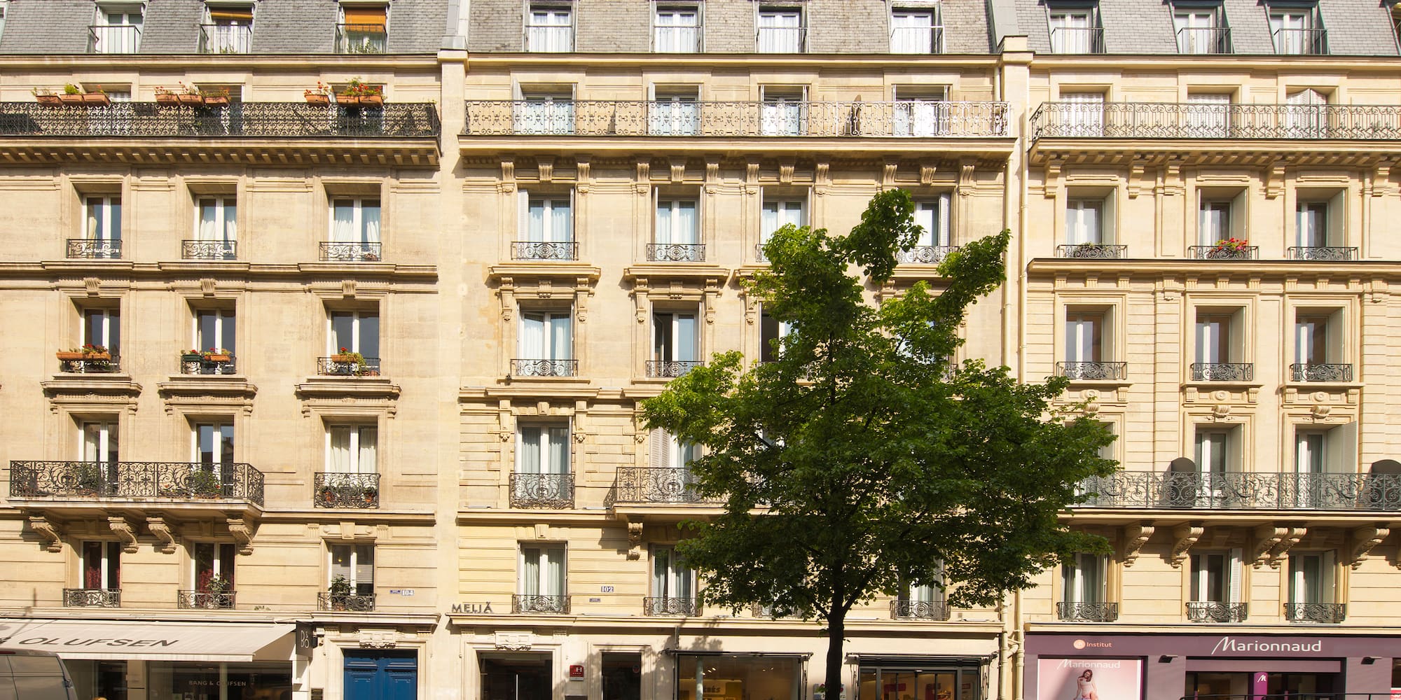 Classic Parisian building facade, ornate balconies, large tree, street shops.