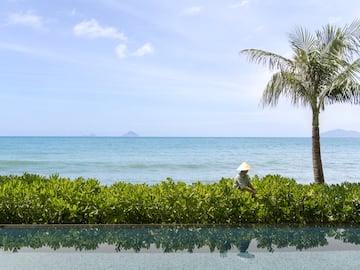 a person in a hat by a palm tree by a pool