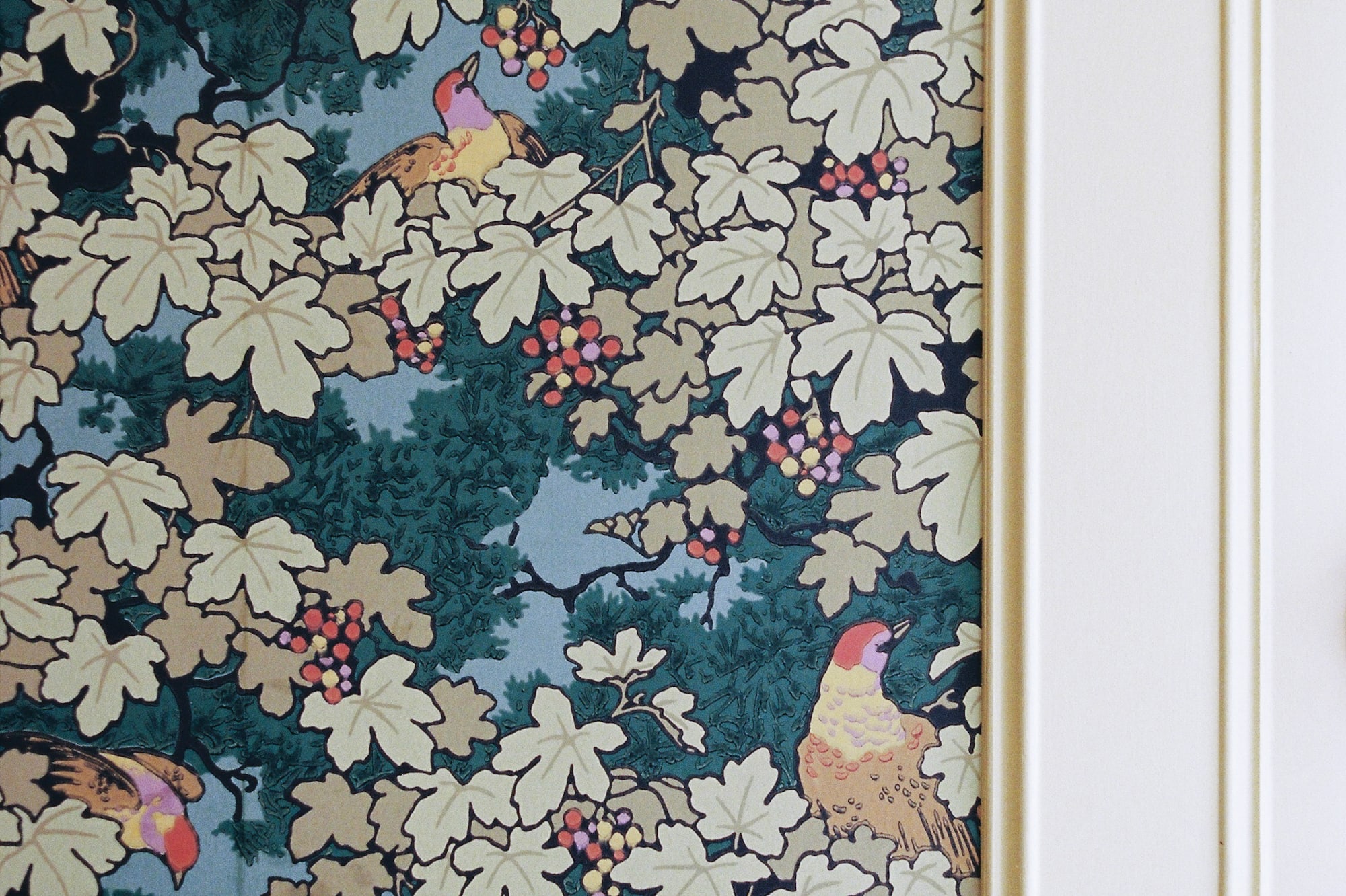 a wallpaper on a door