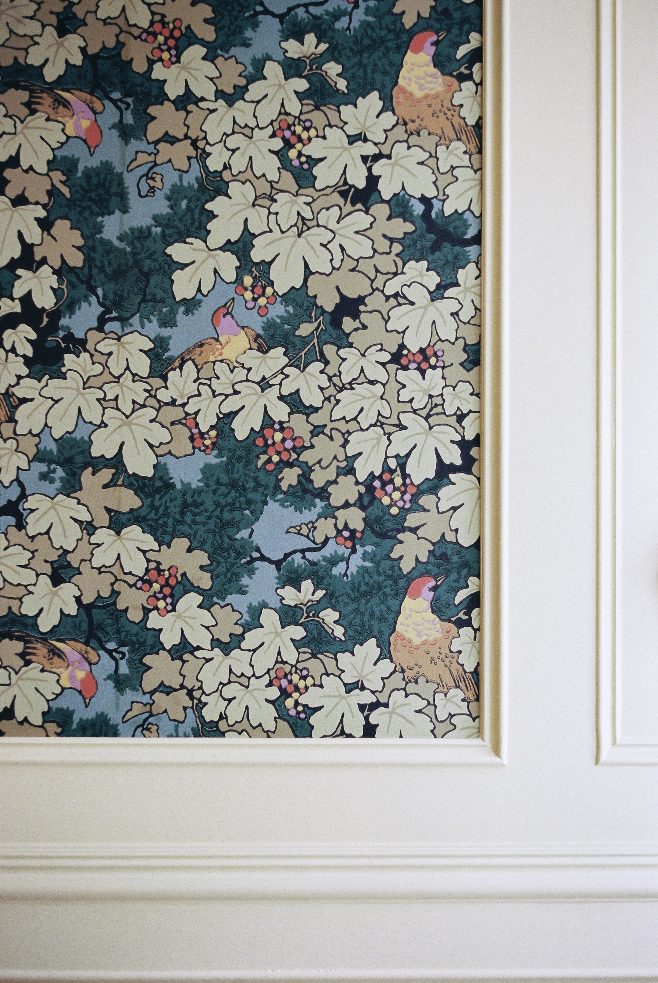 a wallpaper on a door