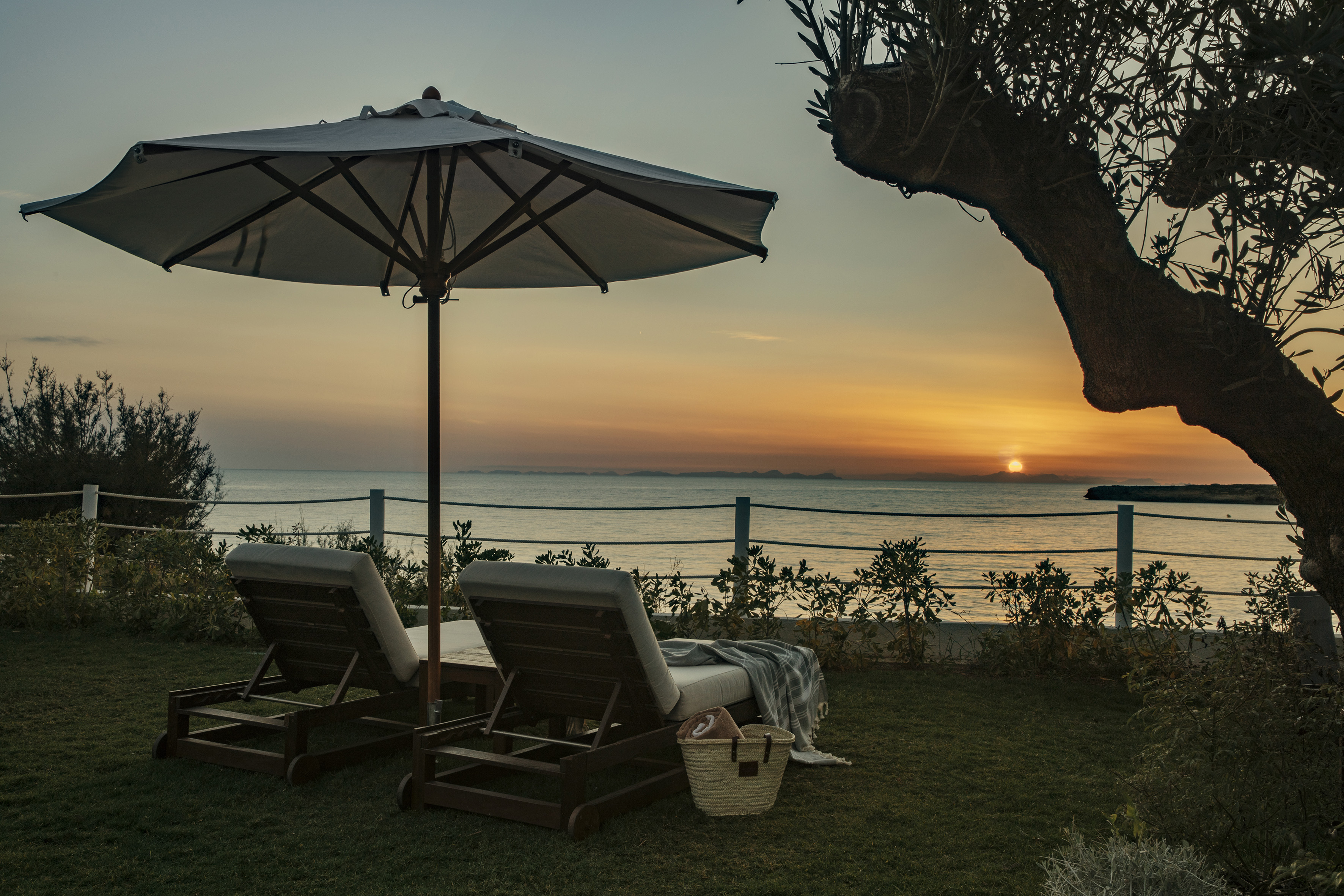 Beach loungers under umbrella at sunset over ocean, olive tree, resort view.