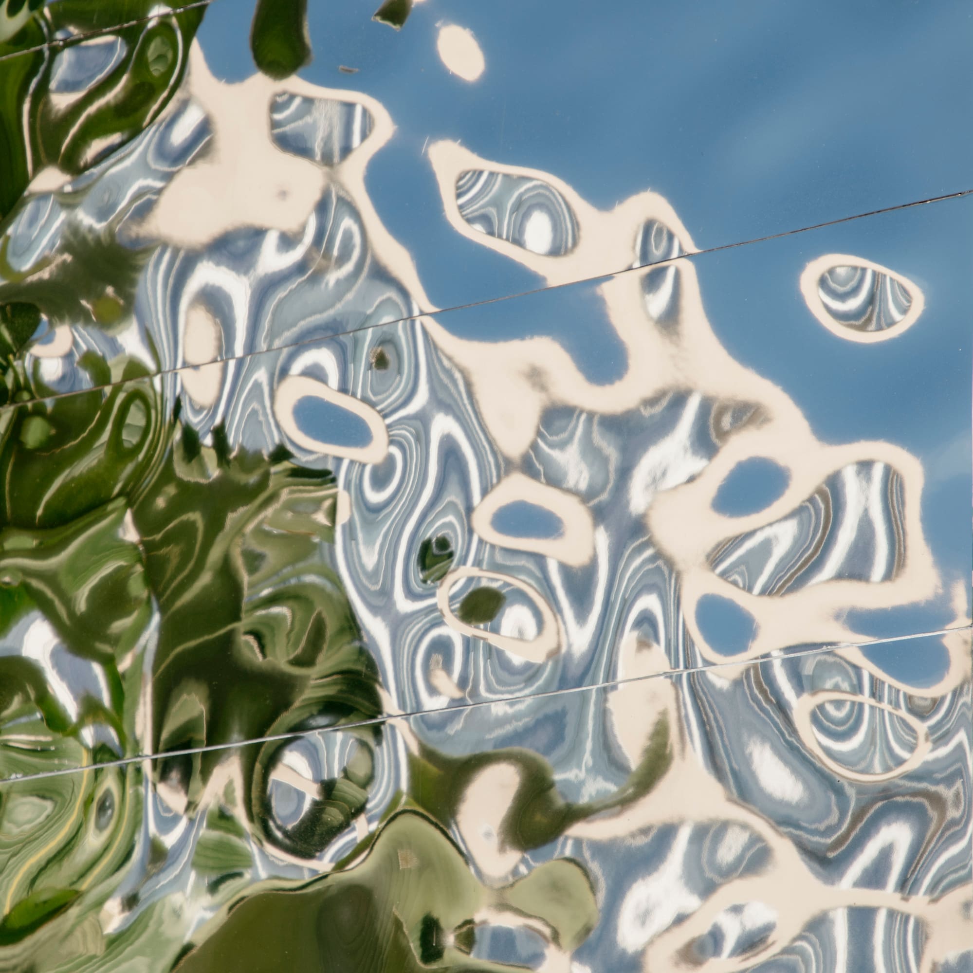 a reflection of a tree in a mirror