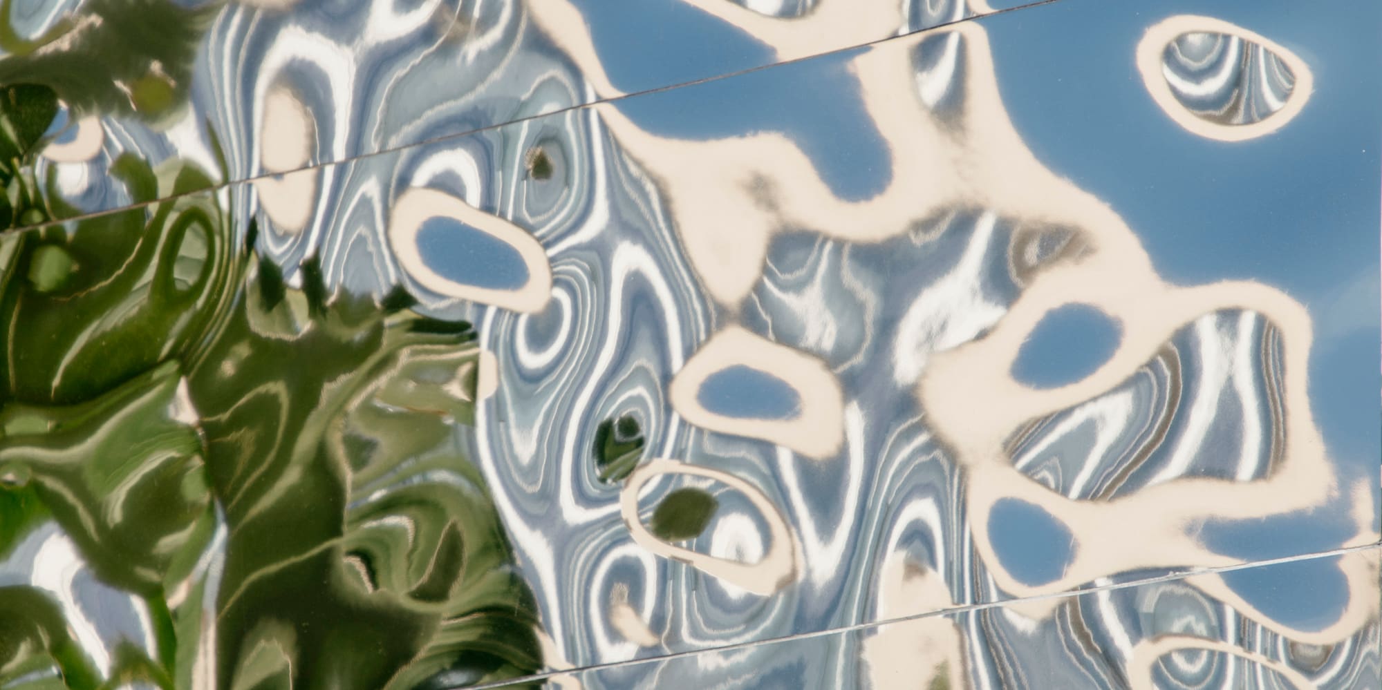 a reflection of a tree in a mirror