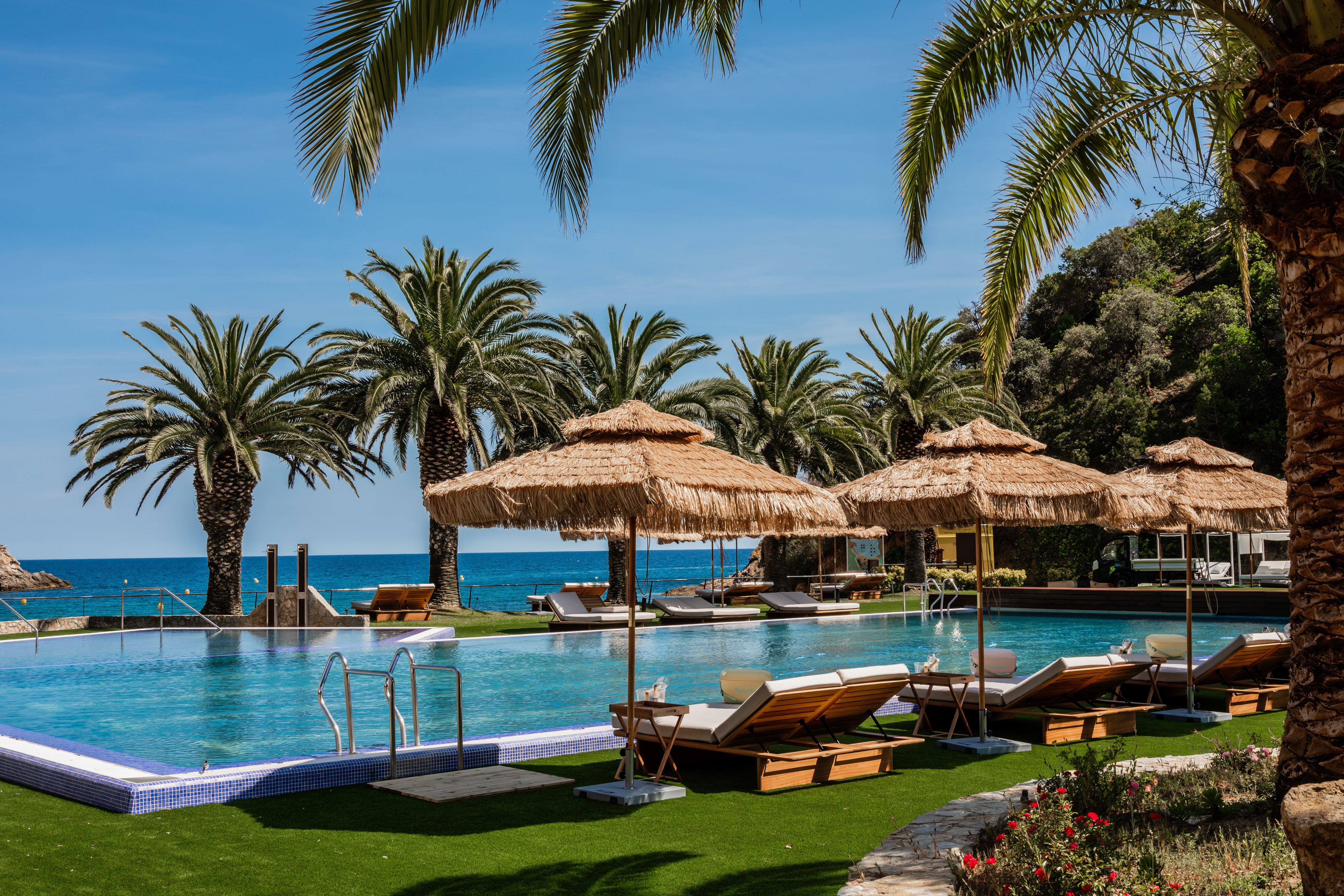 Resort swimming pool, palm trees, sunbeds, thatched umbrellas, ocean view.