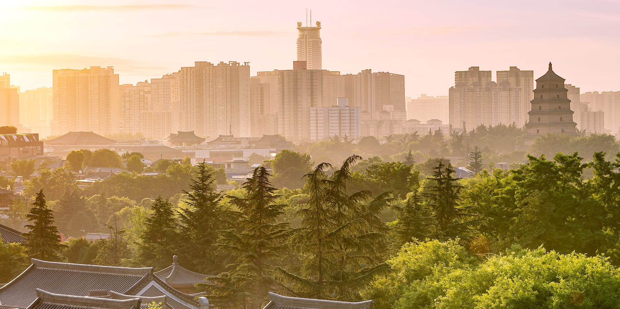 a city with trees and buildings in the background