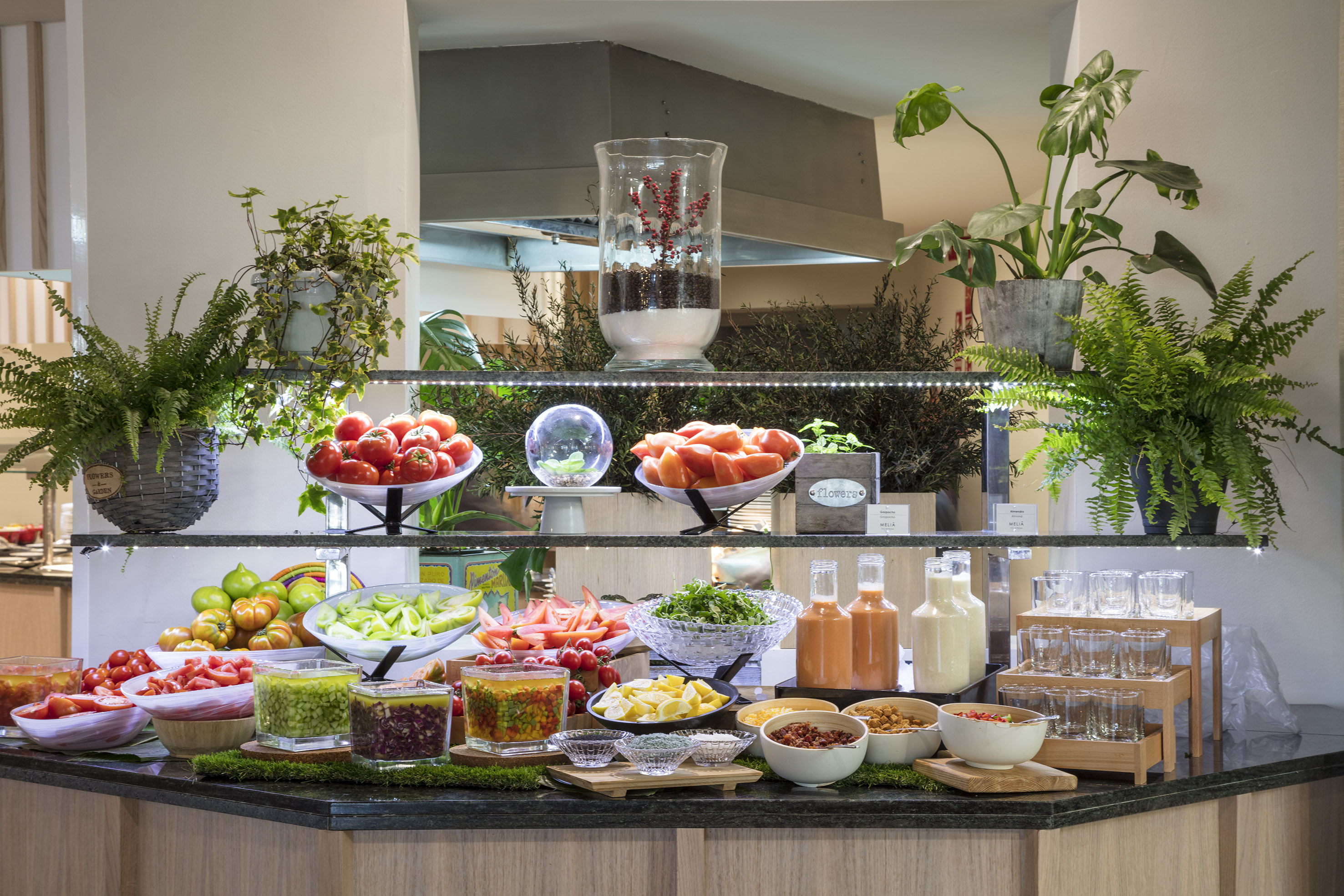 Fresh salad bar buffet with assorted vegetables, tomatoes, dressings, and decorative plants.
