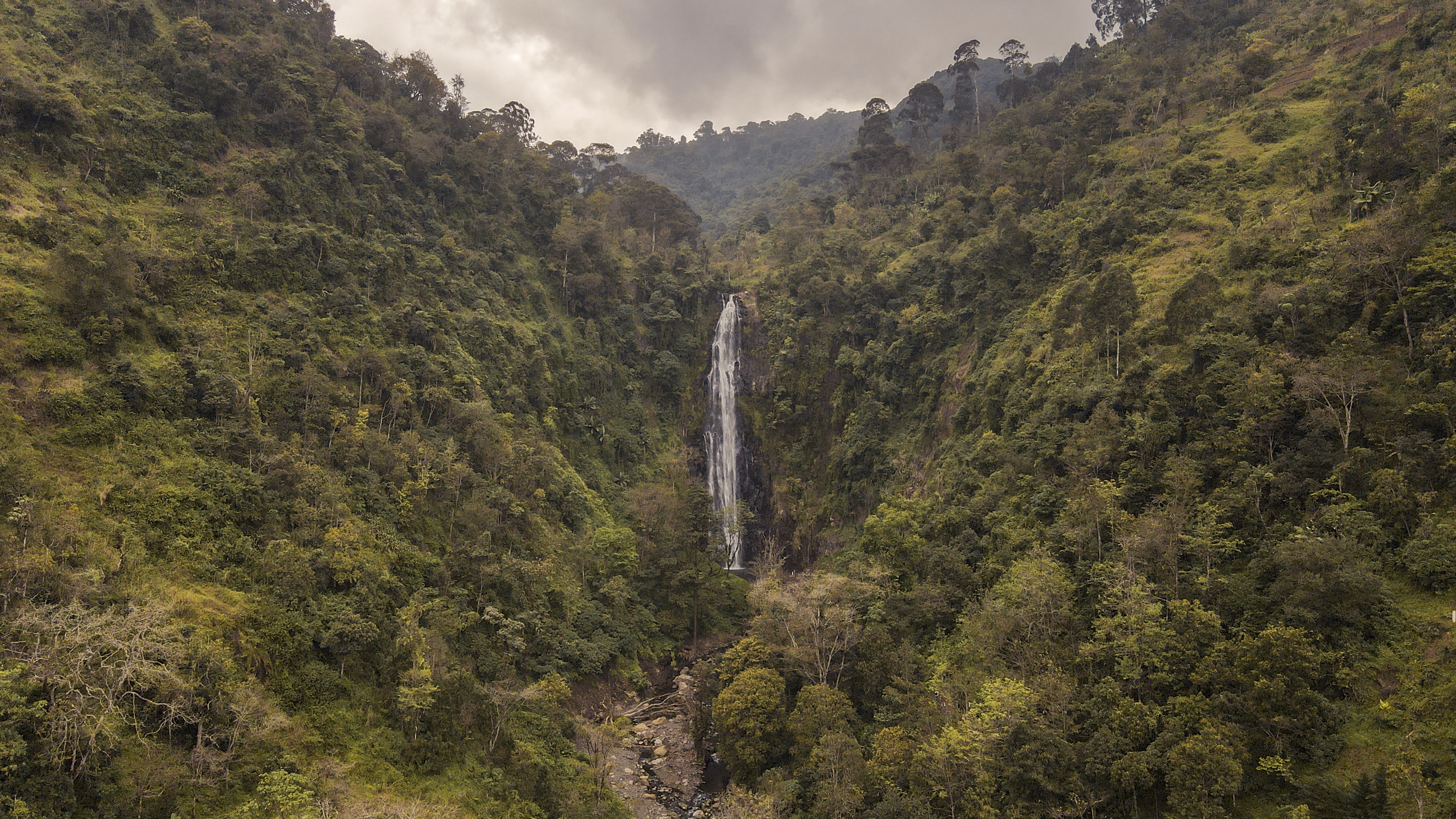 a waterfall in a forest