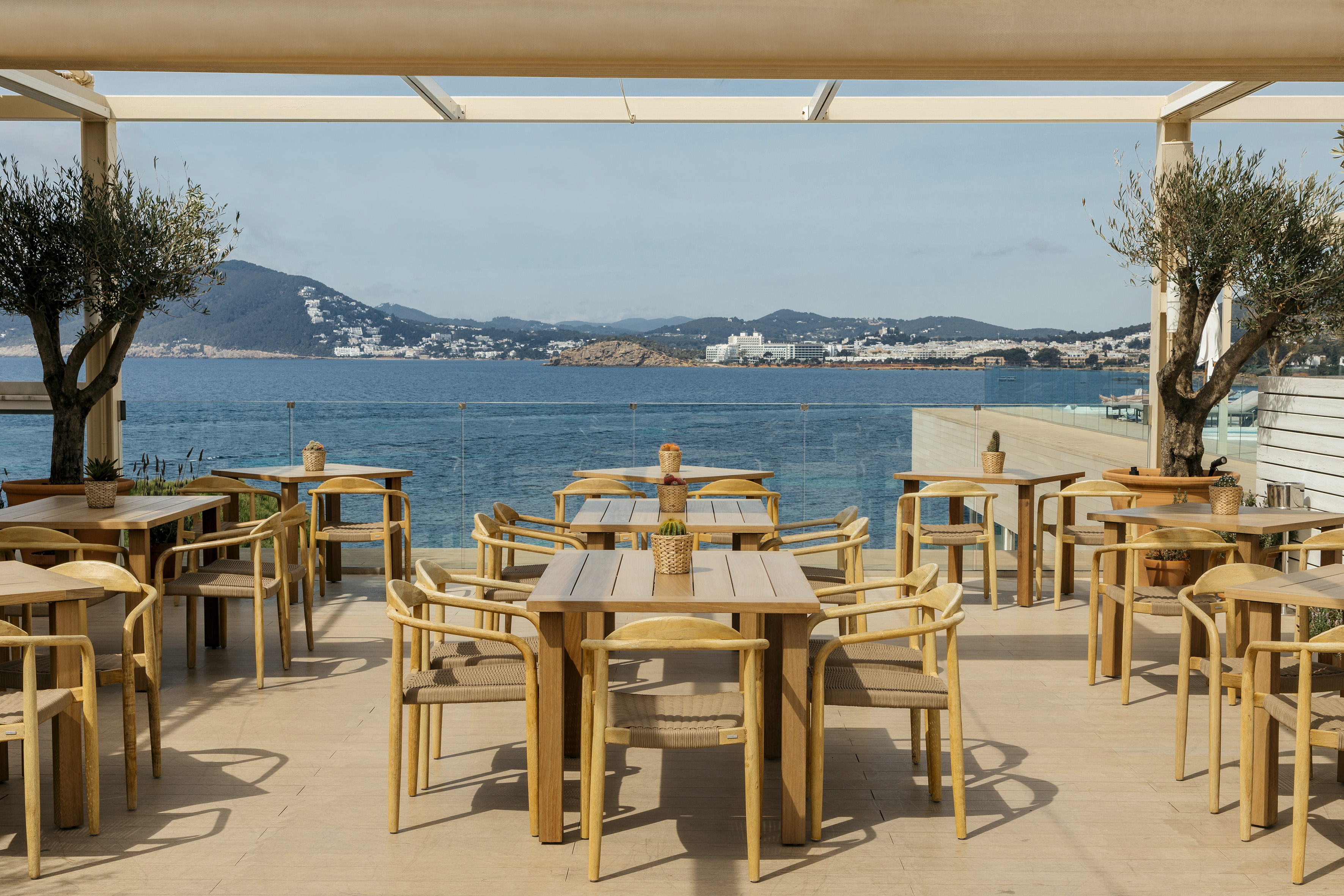 Outdoor restaurant patio with sea view, wooden tables, and olive trees.