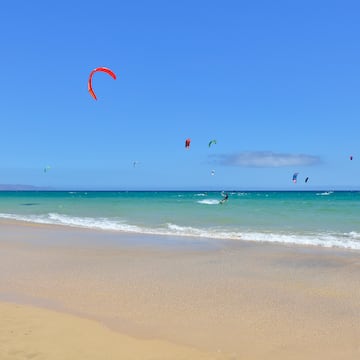 a group of people kite surfing on a beach