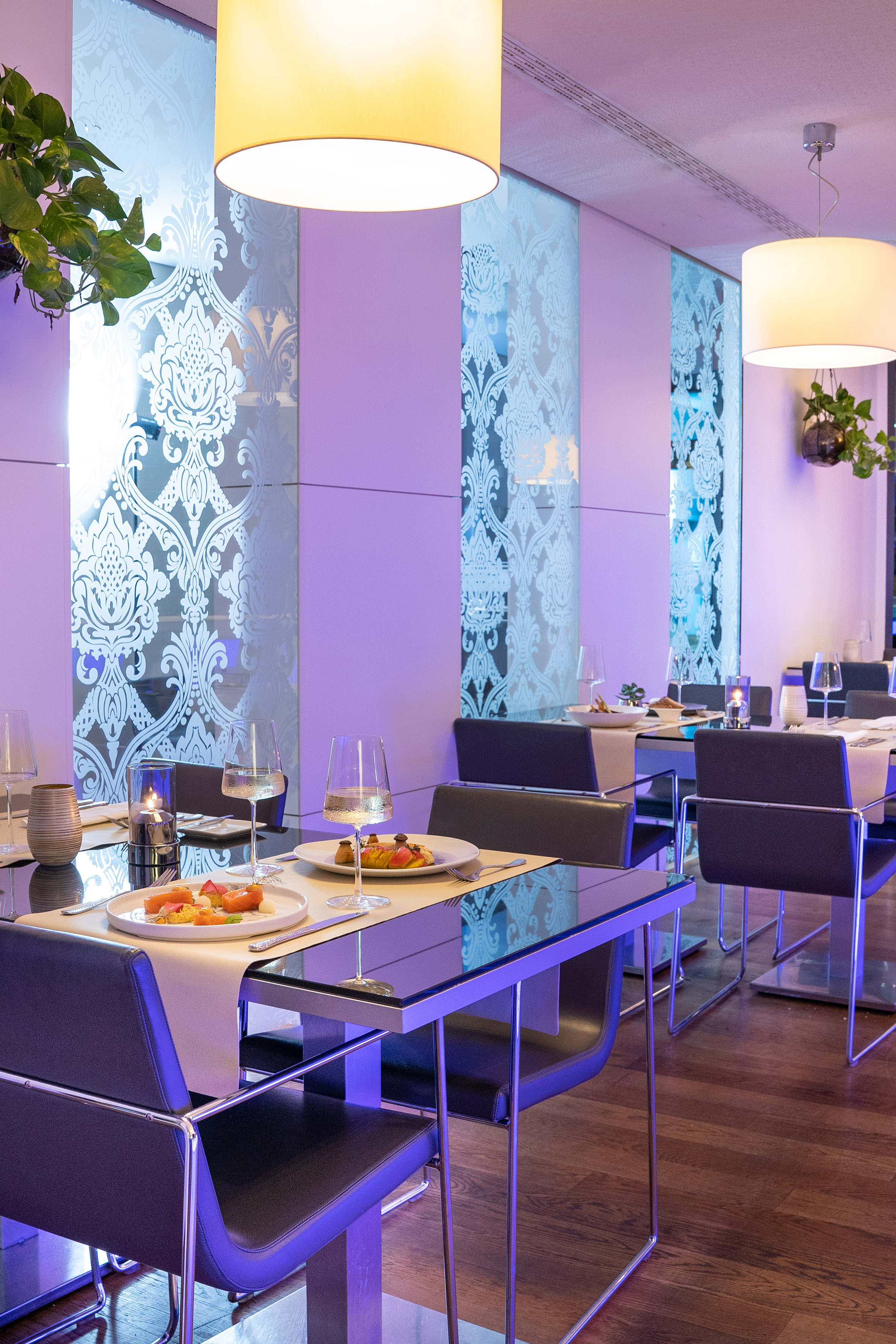 Modern restaurant with sleek black tables, purple ambient lighting, and plated dishes. - VEN, Bucătărie internațională - Innside Dresda, Dresda