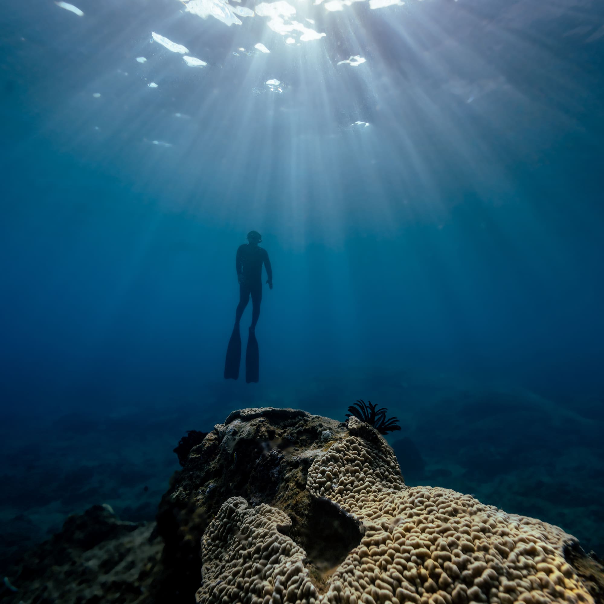 a person swimming under water