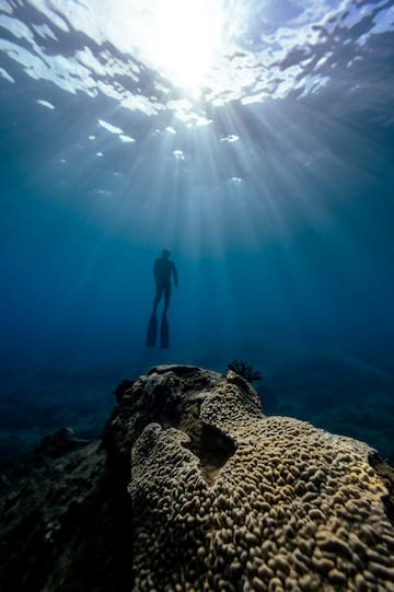 a person swimming under water