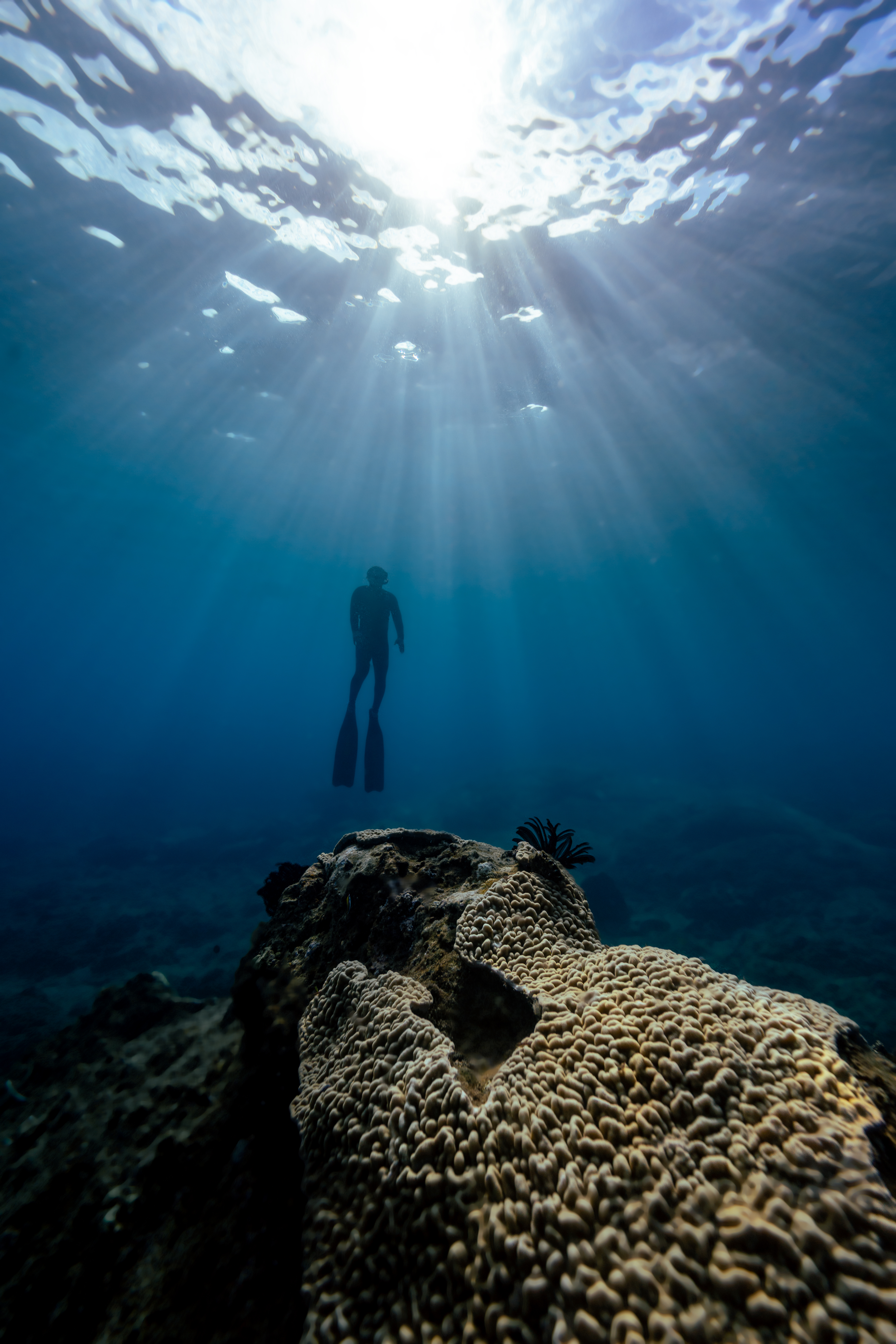 a person swimming under water
