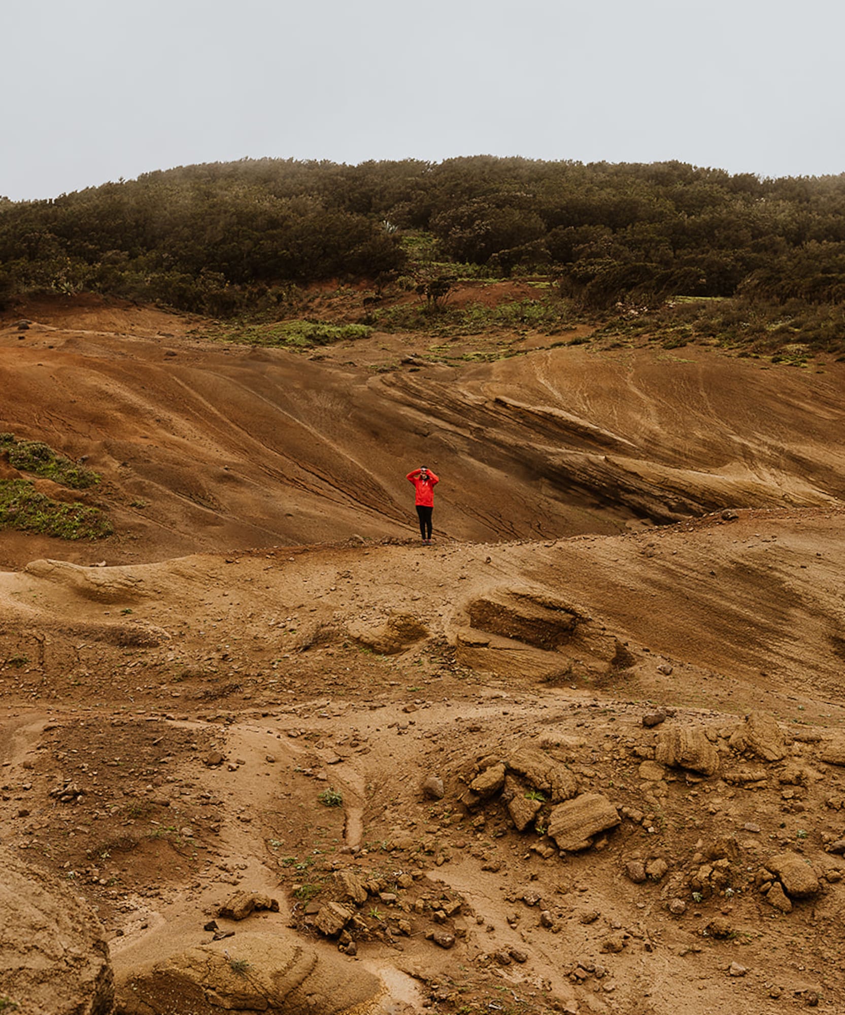 Hiker in red jacket on vast, eroded red and brown landscape.