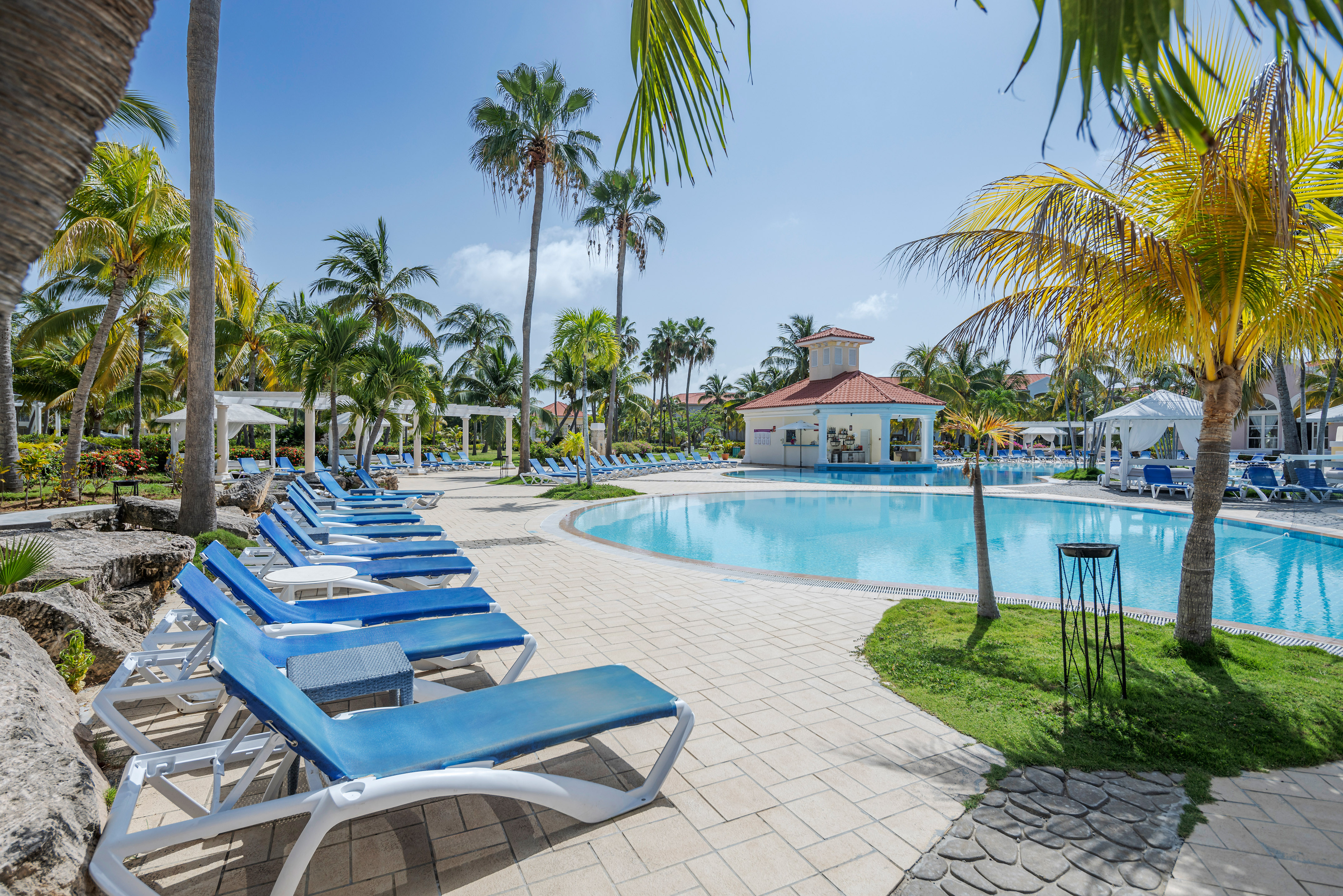 a pool with lounge chairs and palm trees