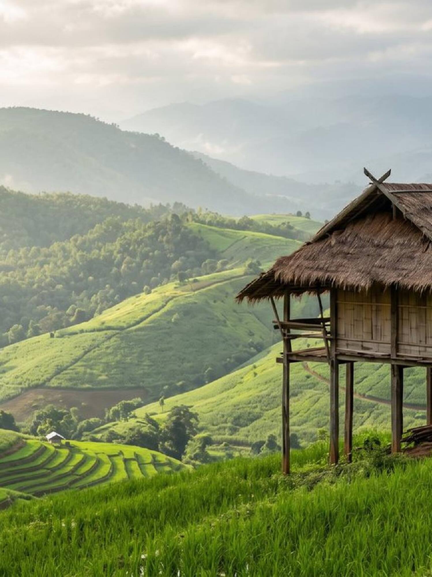 Traditional stilt hut with thatched roof overlooking green rice terraces and mountains.