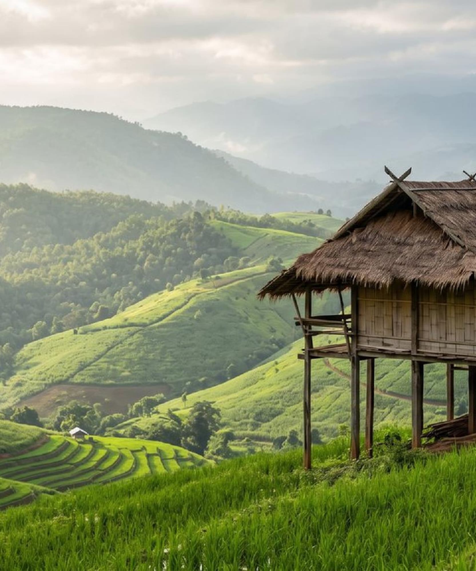 Traditional stilt hut with thatched roof overlooking green rice terraces and mountains.