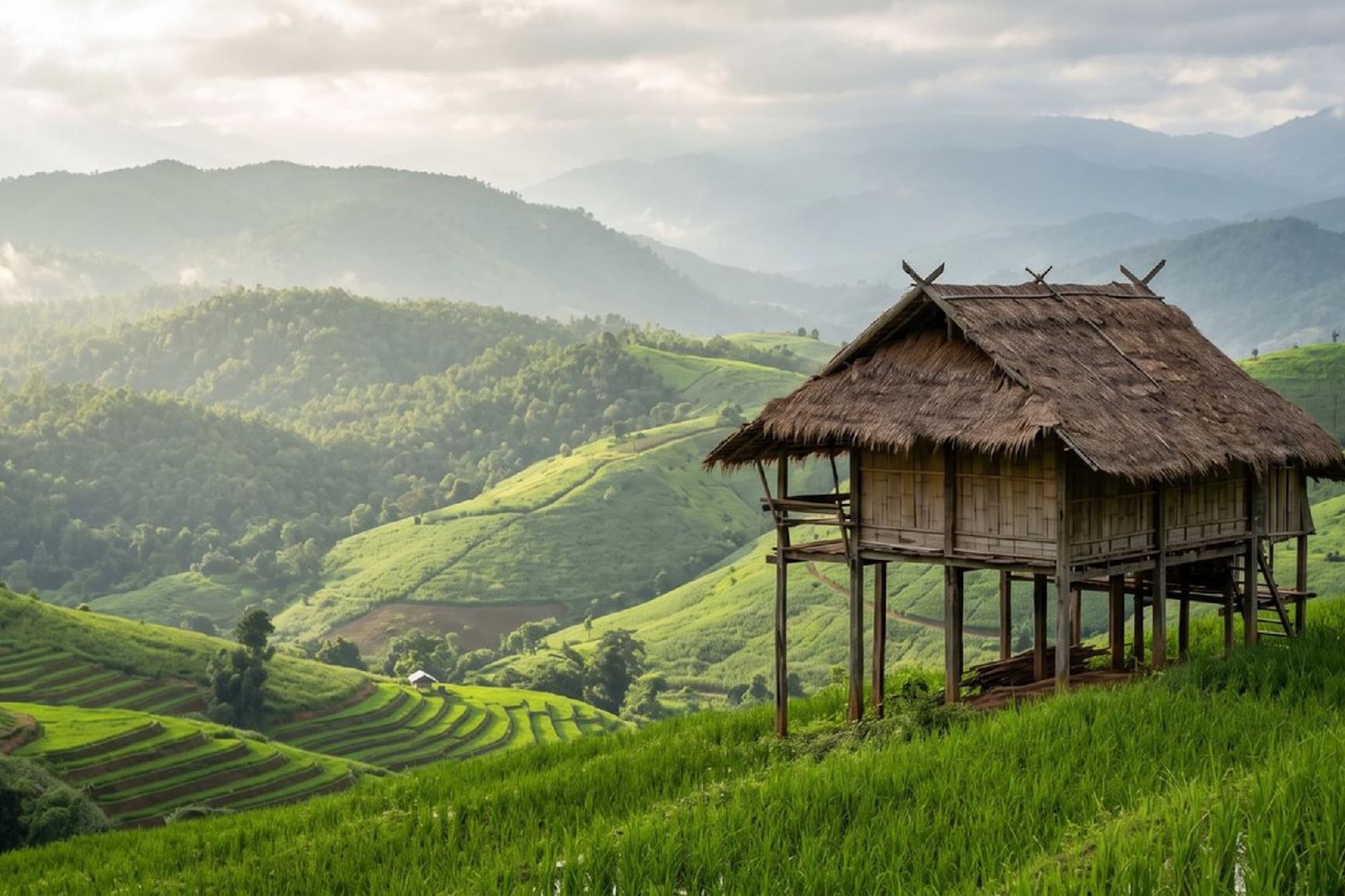 Traditional stilt hut with thatched roof overlooking green rice terraces and mountains.