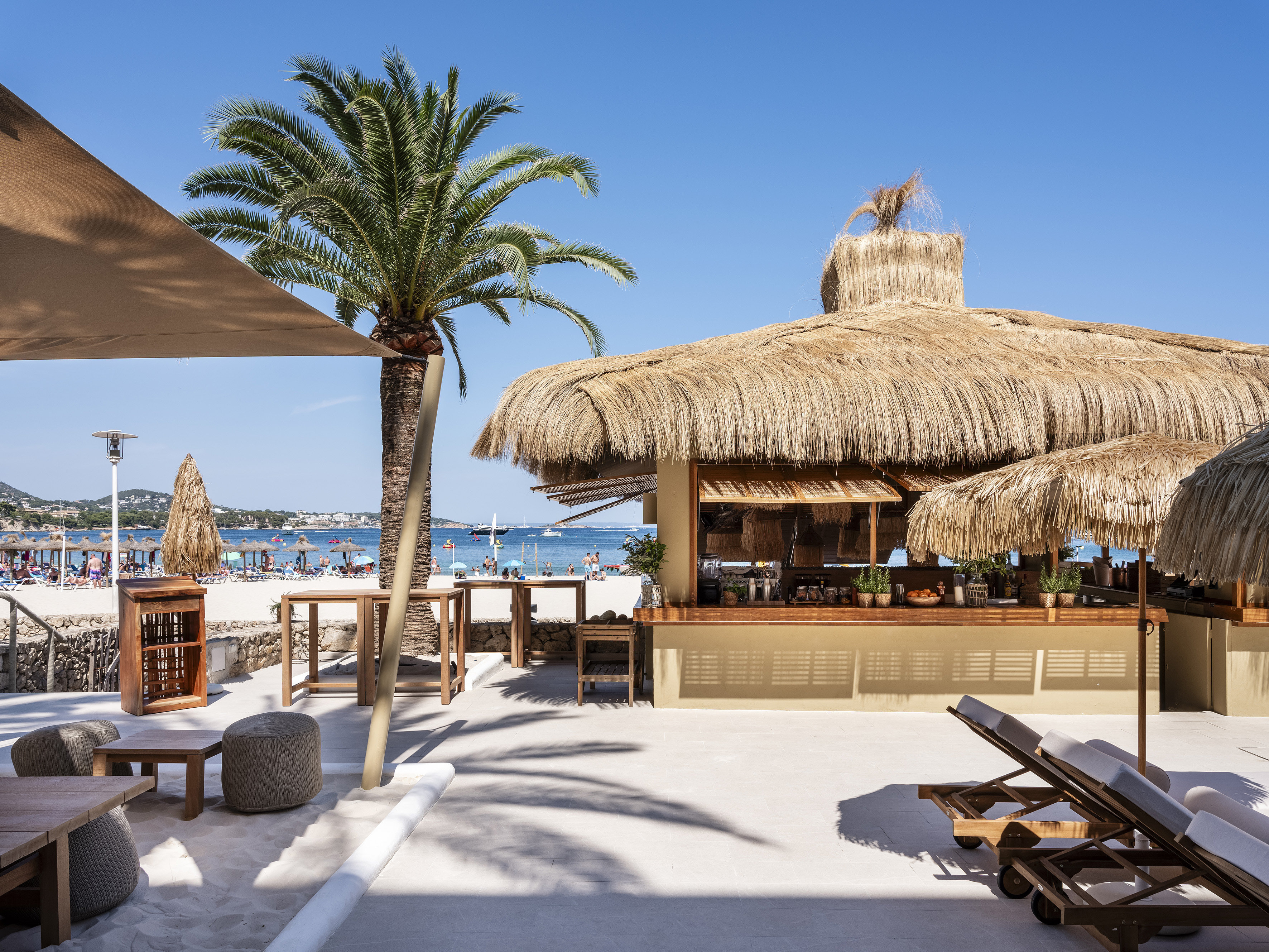 Sunny tropical beach bar with thatched roof, palm tree, and ocean view.