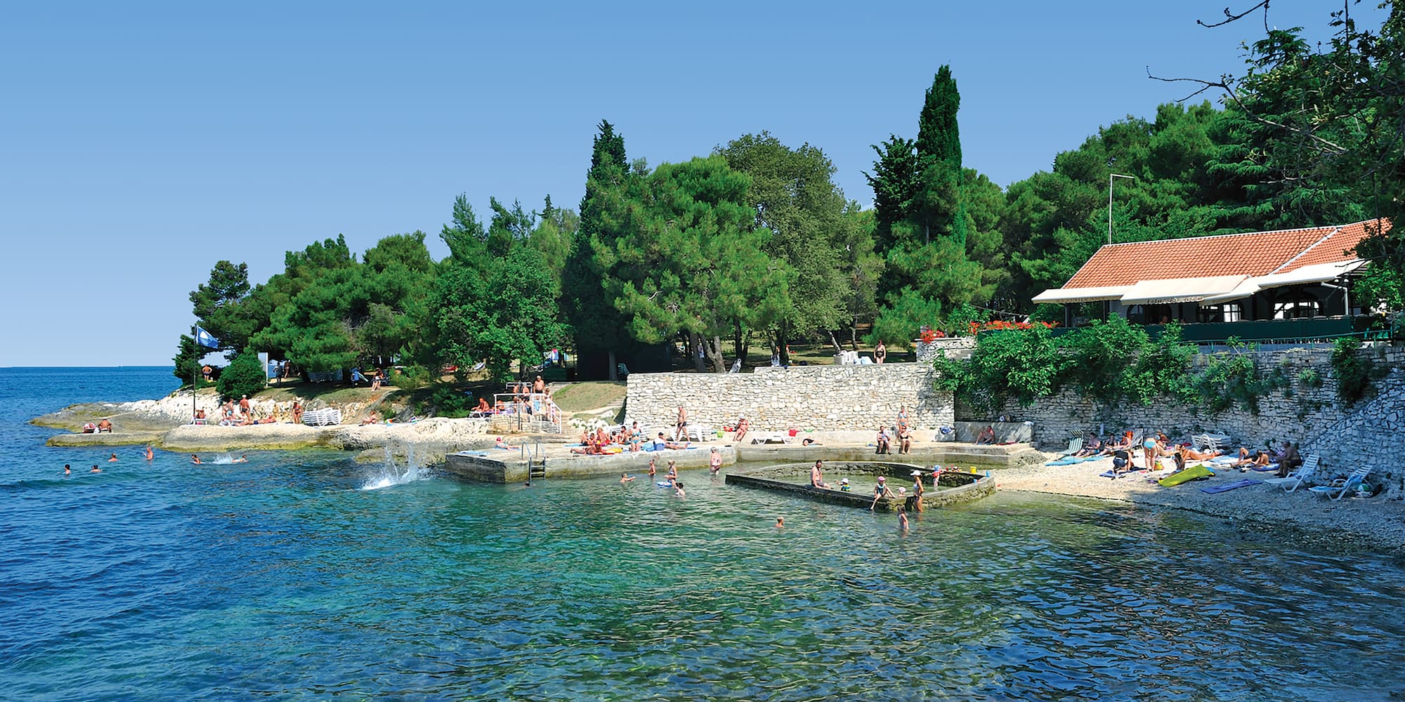 a group of people swimming in a body of water