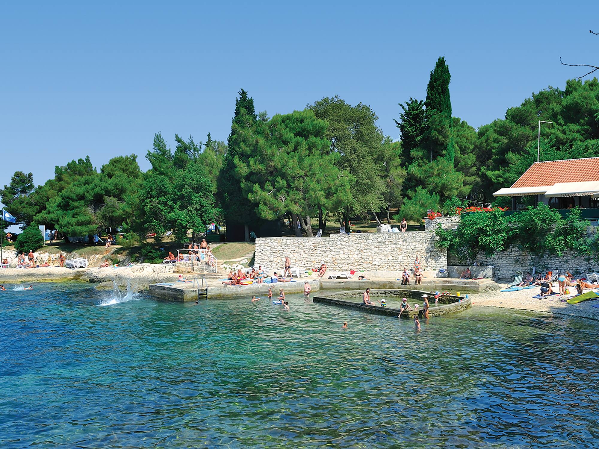 a group of people swimming in a body of water