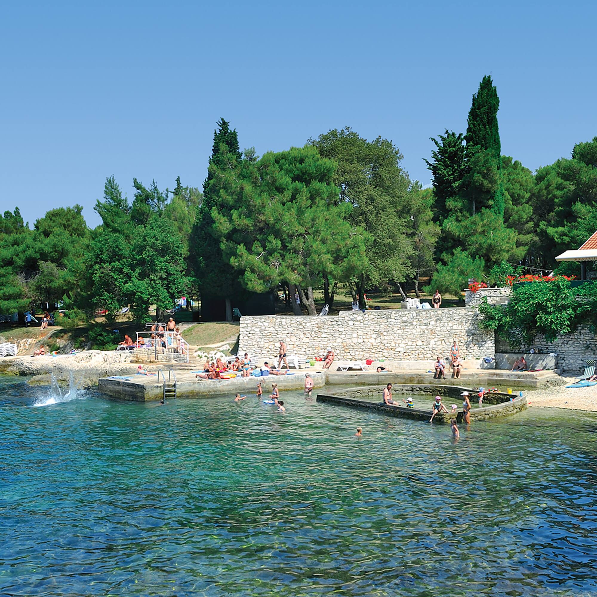 a group of people swimming in a body of water