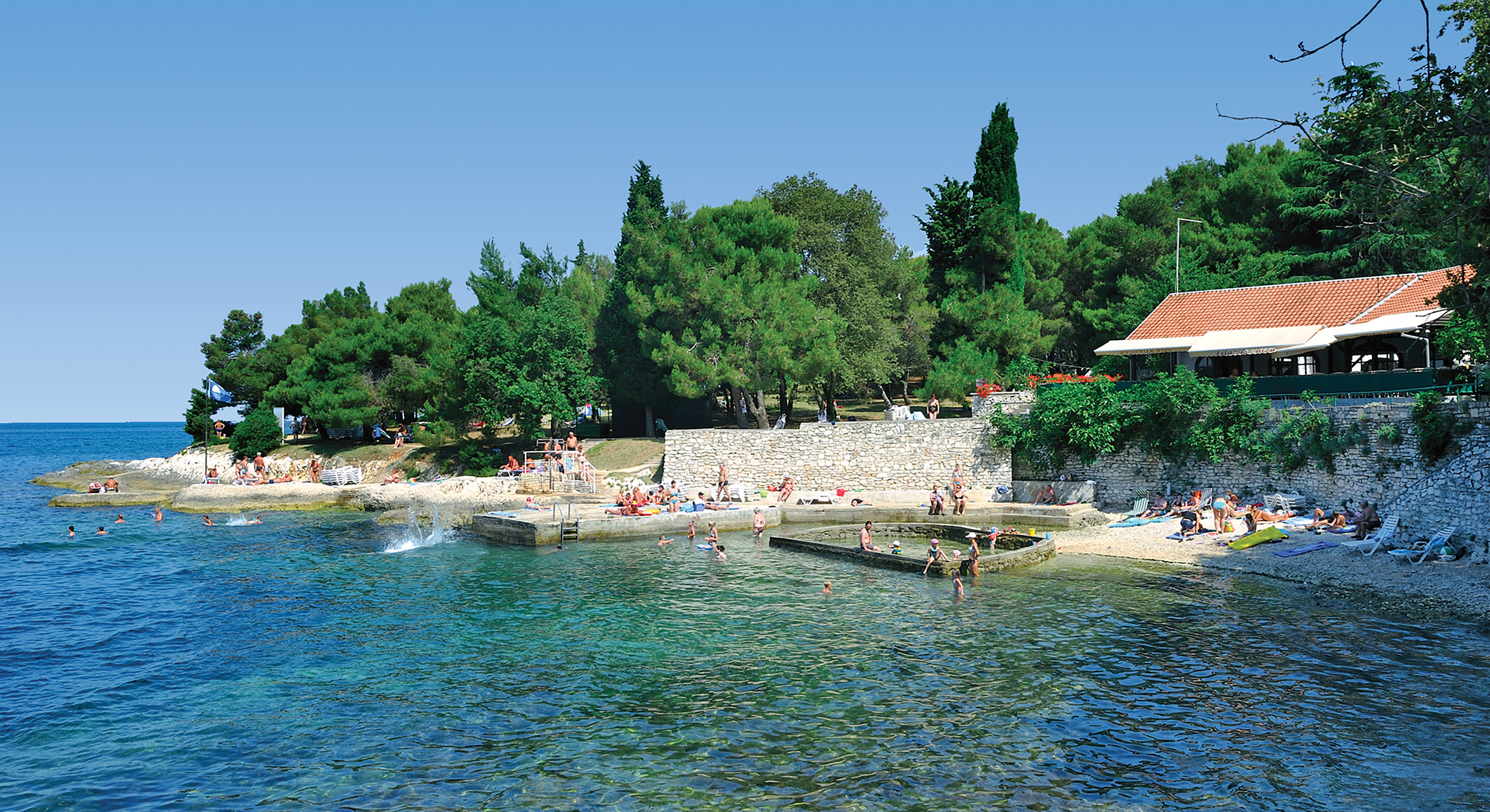 a group of people swimming in a body of water