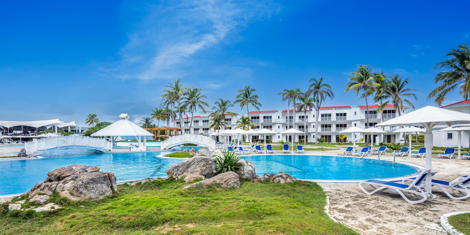 a pool with a bridge and palm trees