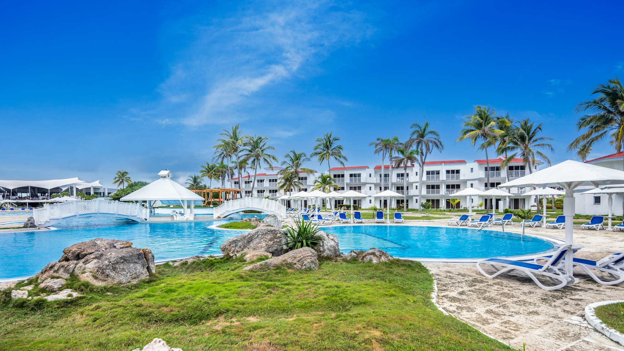 a pool with a bridge and palm trees