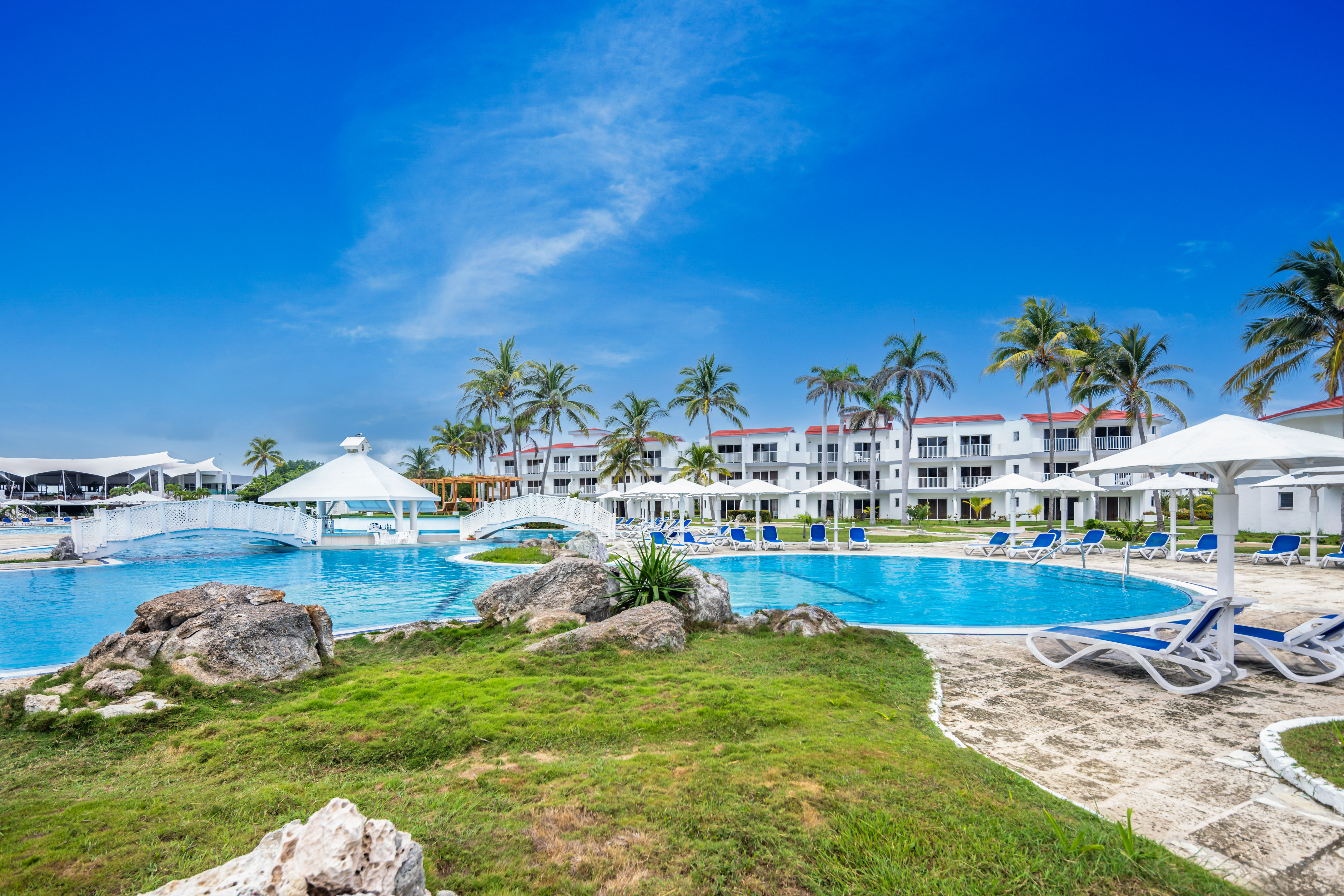 a pool with a bridge and palm trees