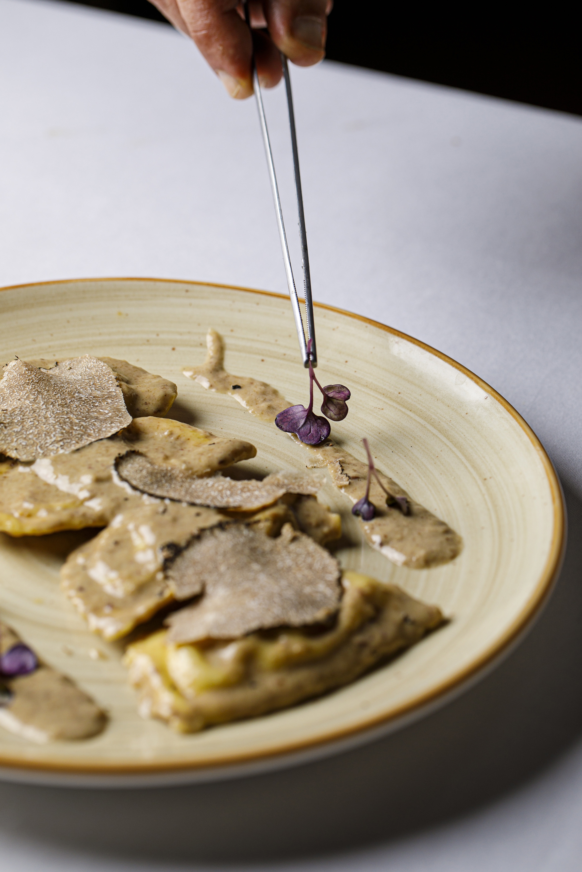 Chef plating gourmet truffle ravioli with creamy sauce and microgreens.