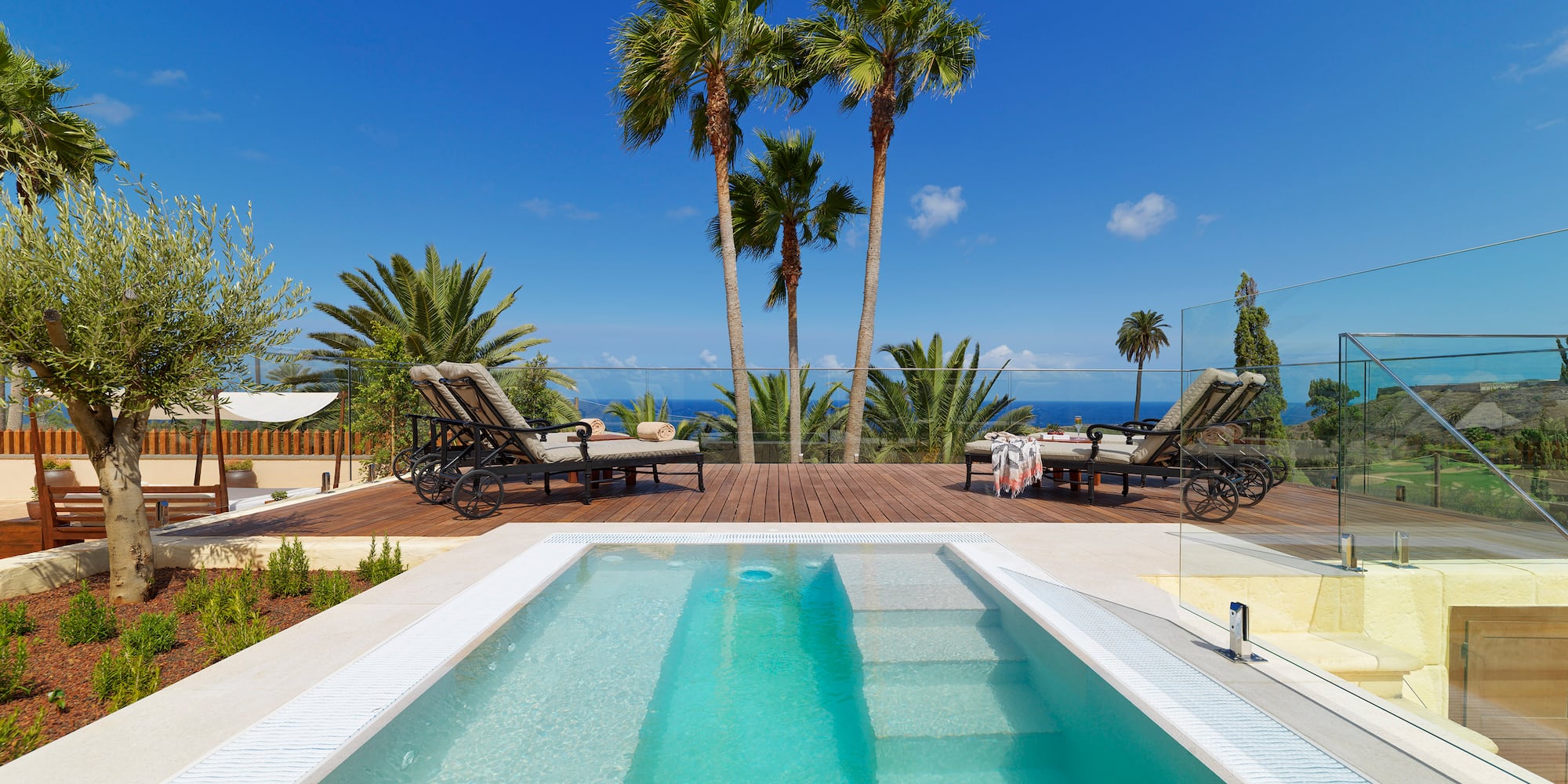 Private plunge pool on wooden deck with sunbeds, palm trees, and ocean view.