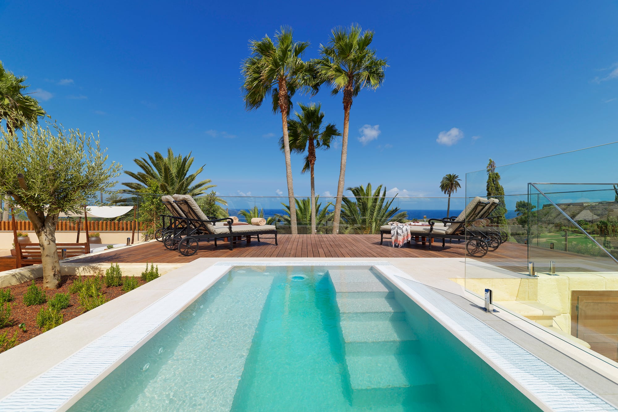 Outdoor pool with ocean view, palm trees, and wooden deck with sunbeds.