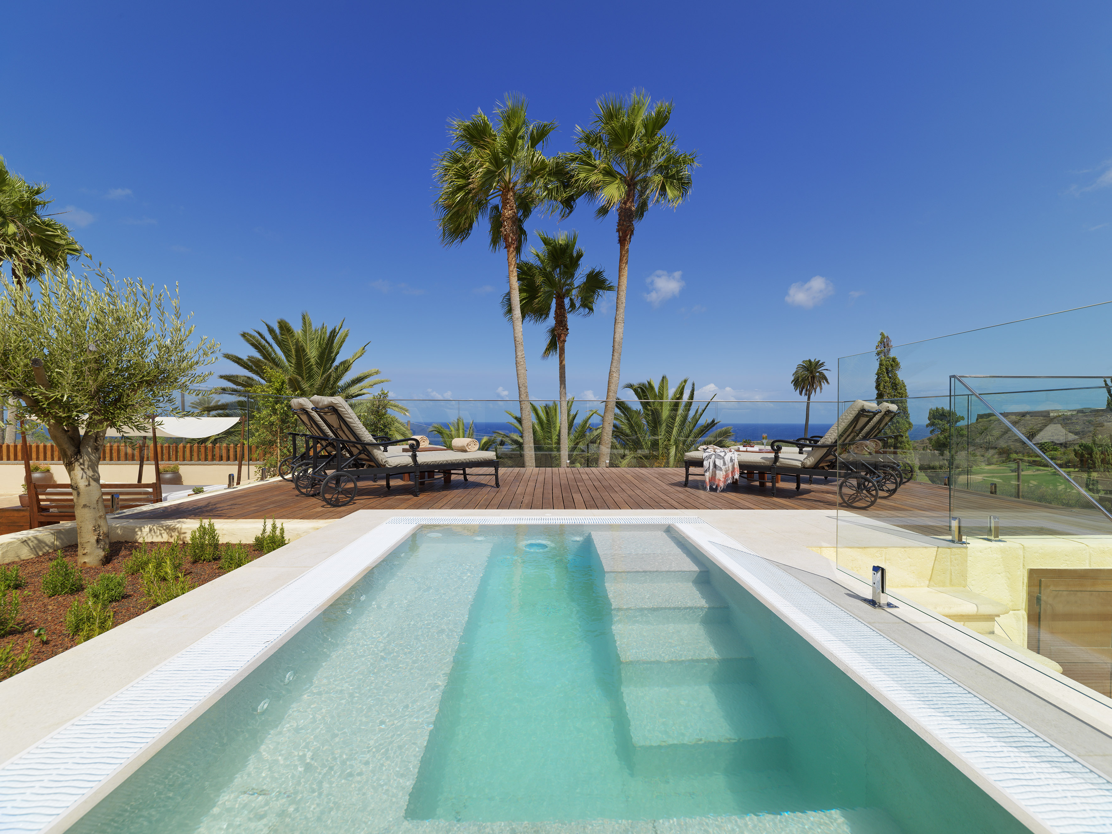 Private plunge pool on wooden deck with sunbeds, palm trees, and ocean view.