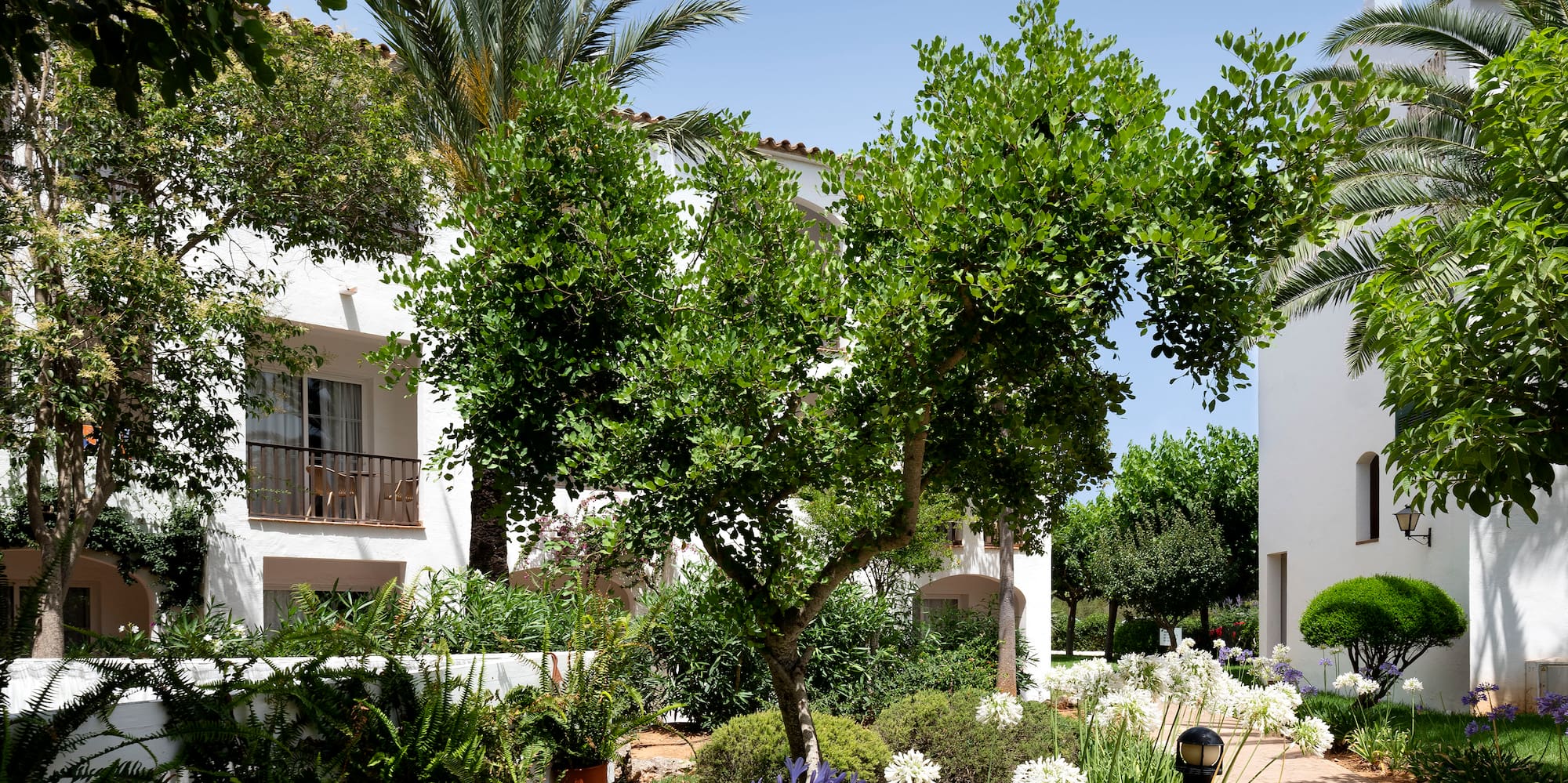 a path with trees and plants in front of a building