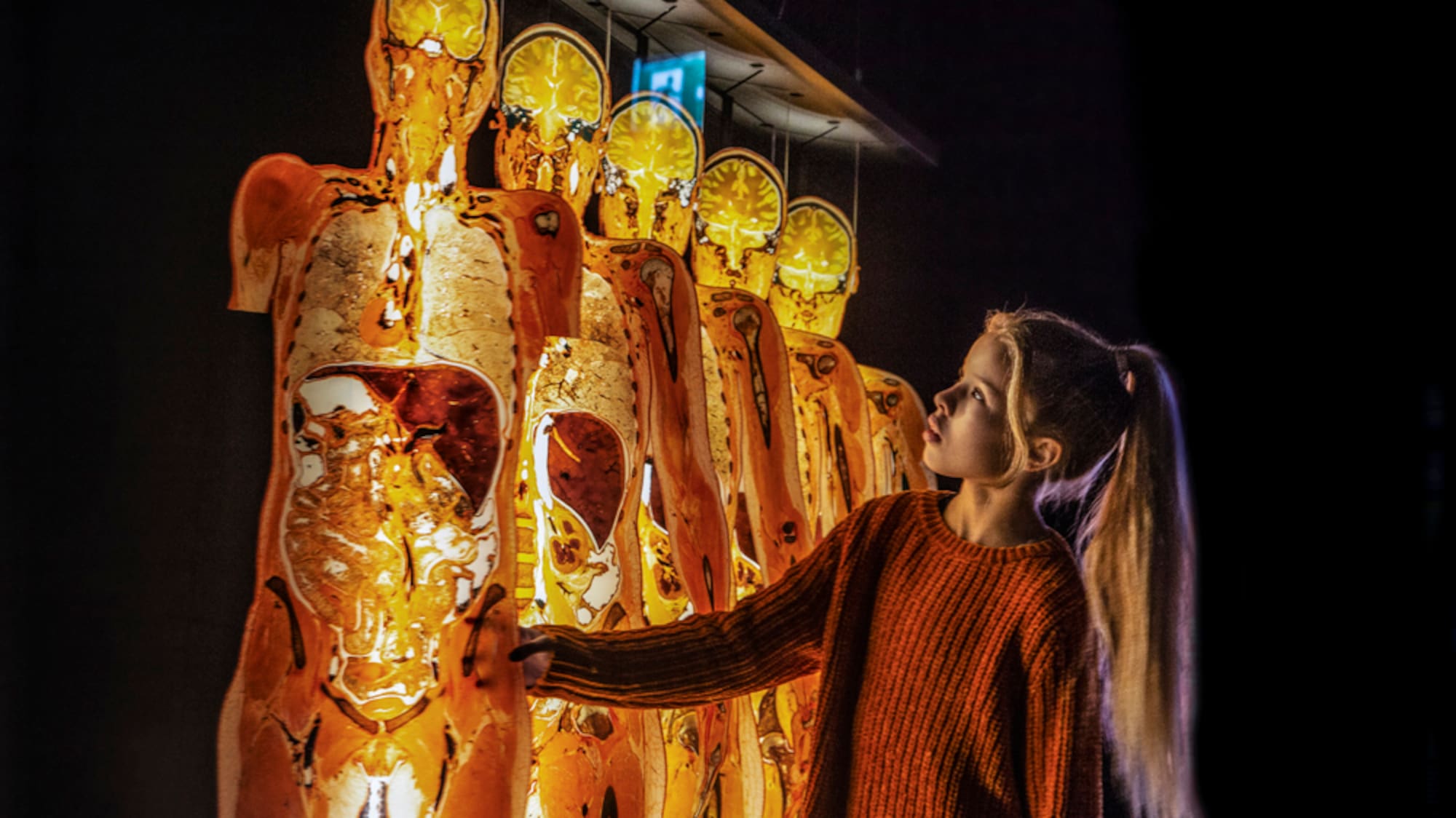 a girl touching a large display of human figures