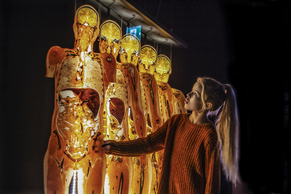 a girl touching a large display of human figures