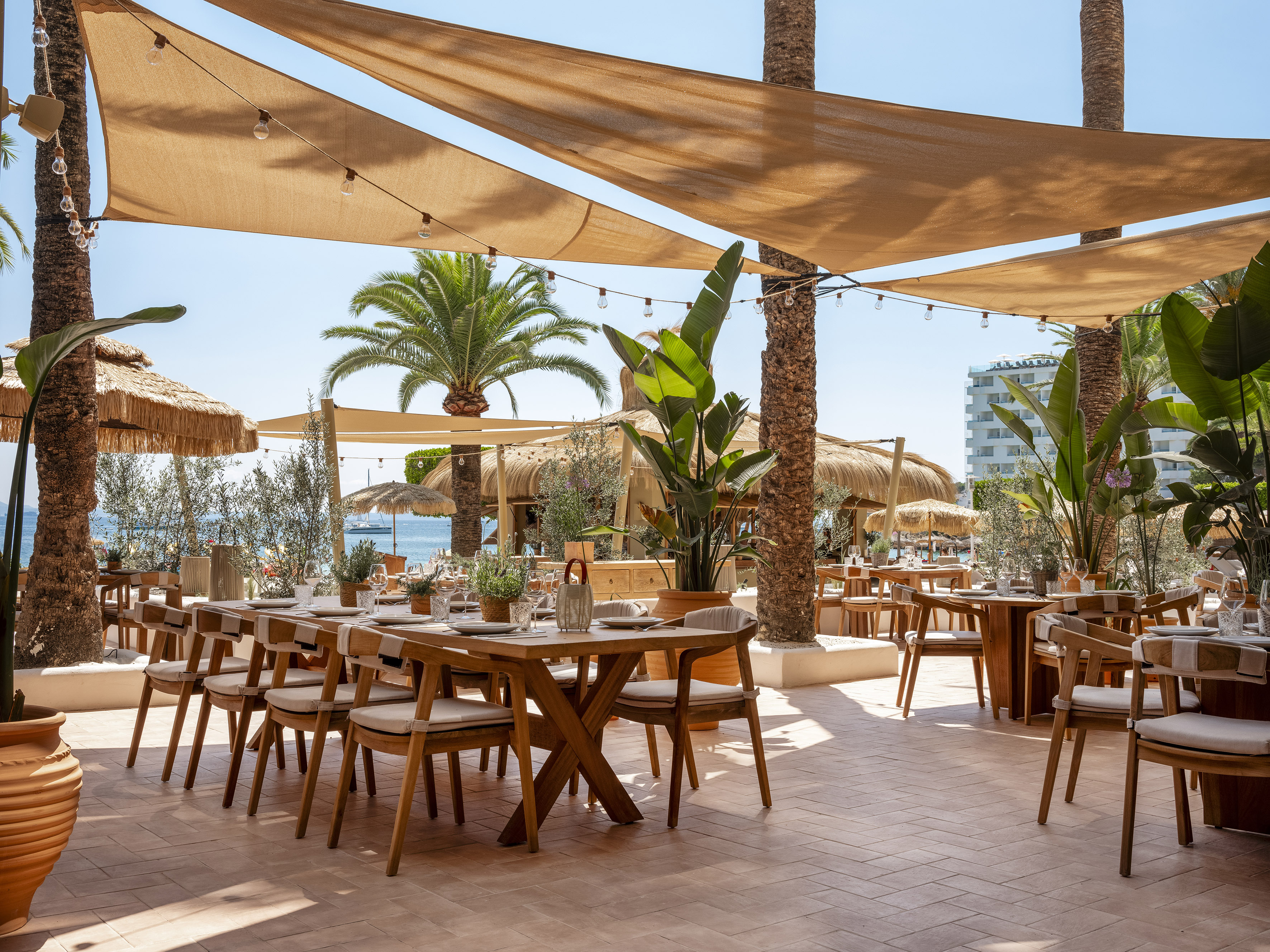 Outdoor beachfront dining with palm trees, shaded tables, and ocean view.