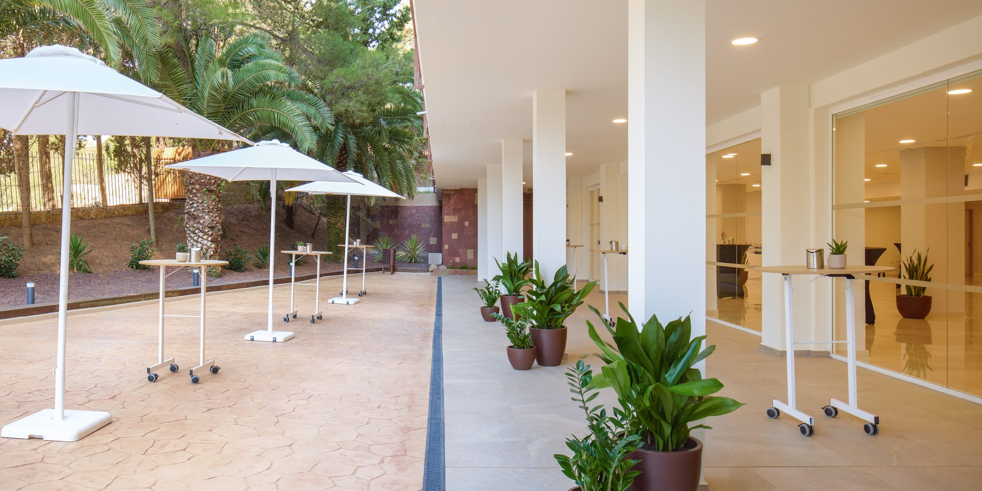 a building with white pillars and plants