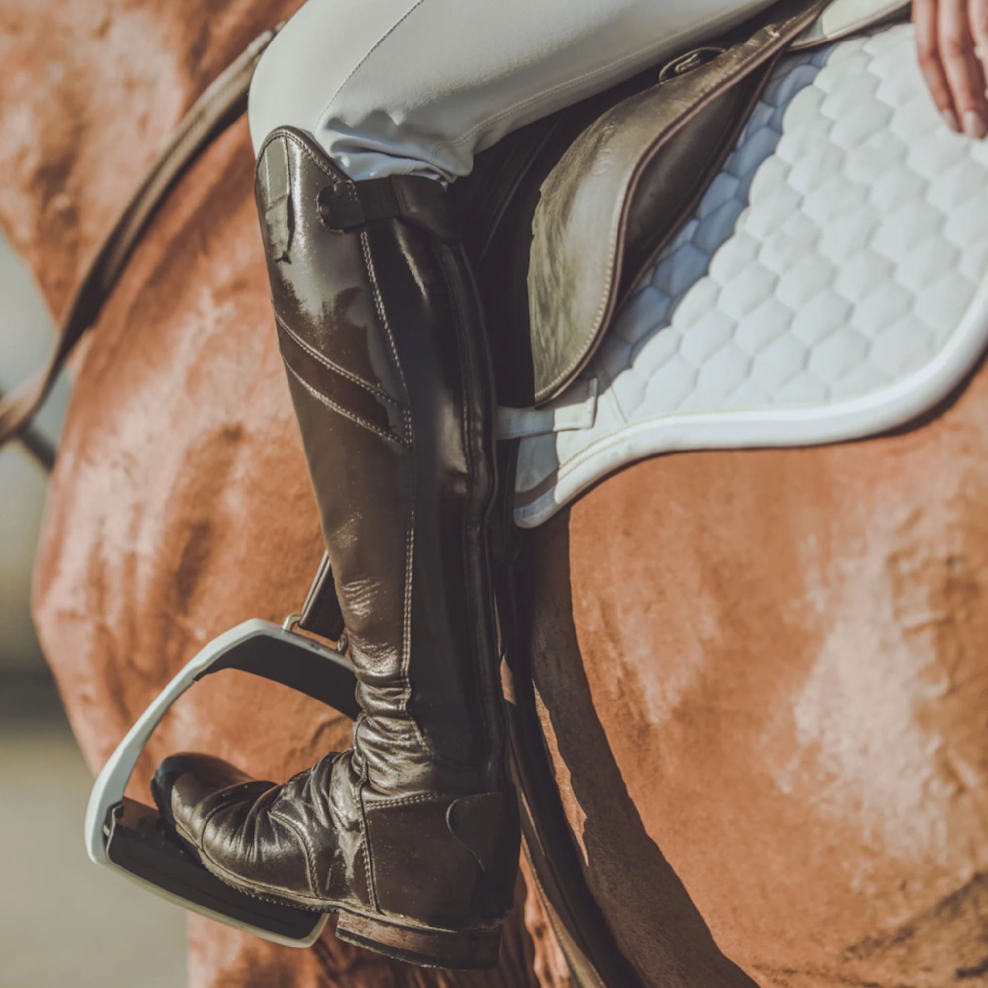 a person's leg in a stirrup on a horse