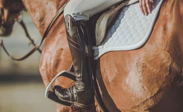 a person's leg in a stirrup on a horse