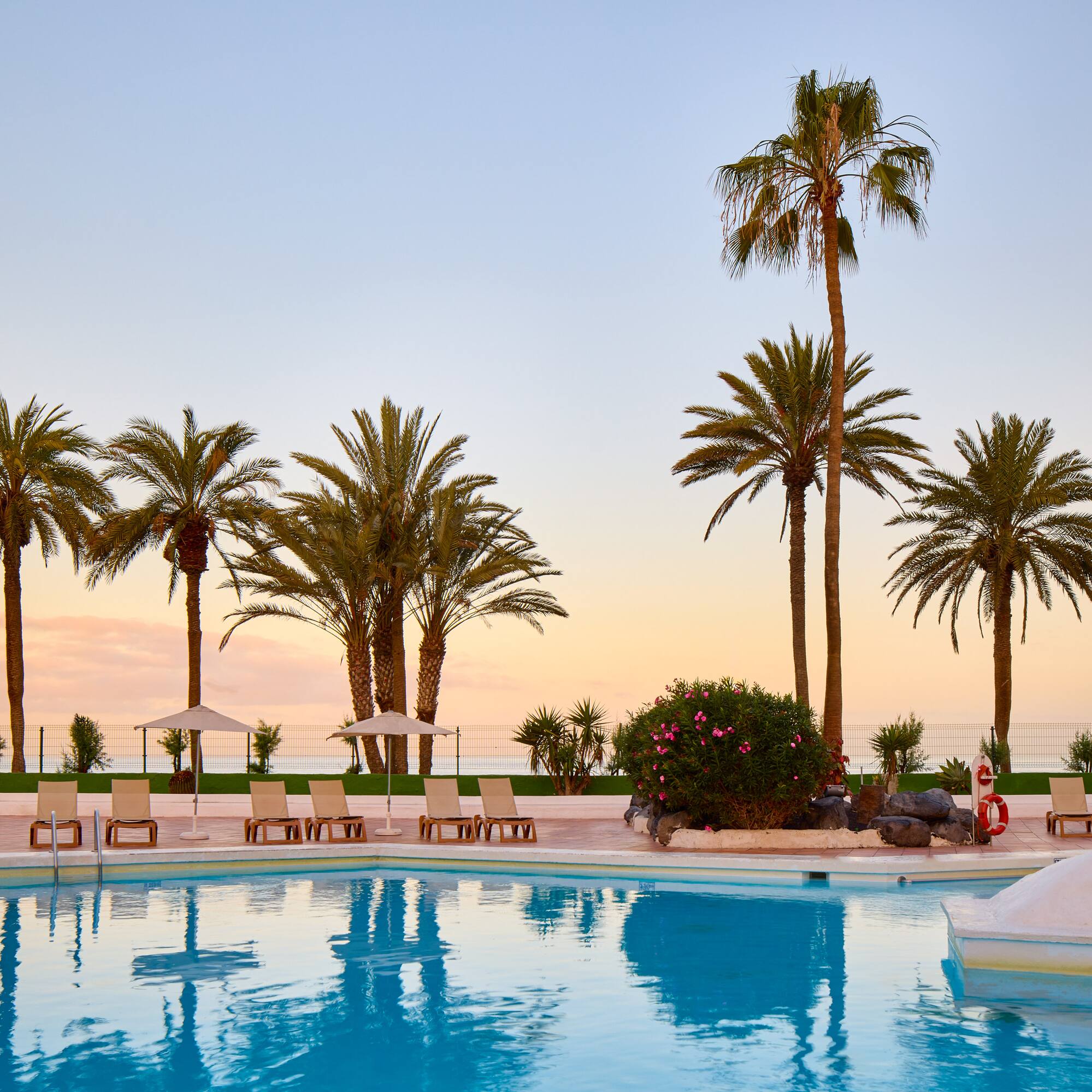 a pool with palm trees and a pool in the background