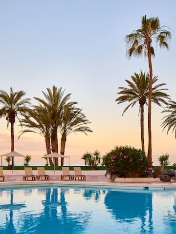 a pool with palm trees and a pool in the background